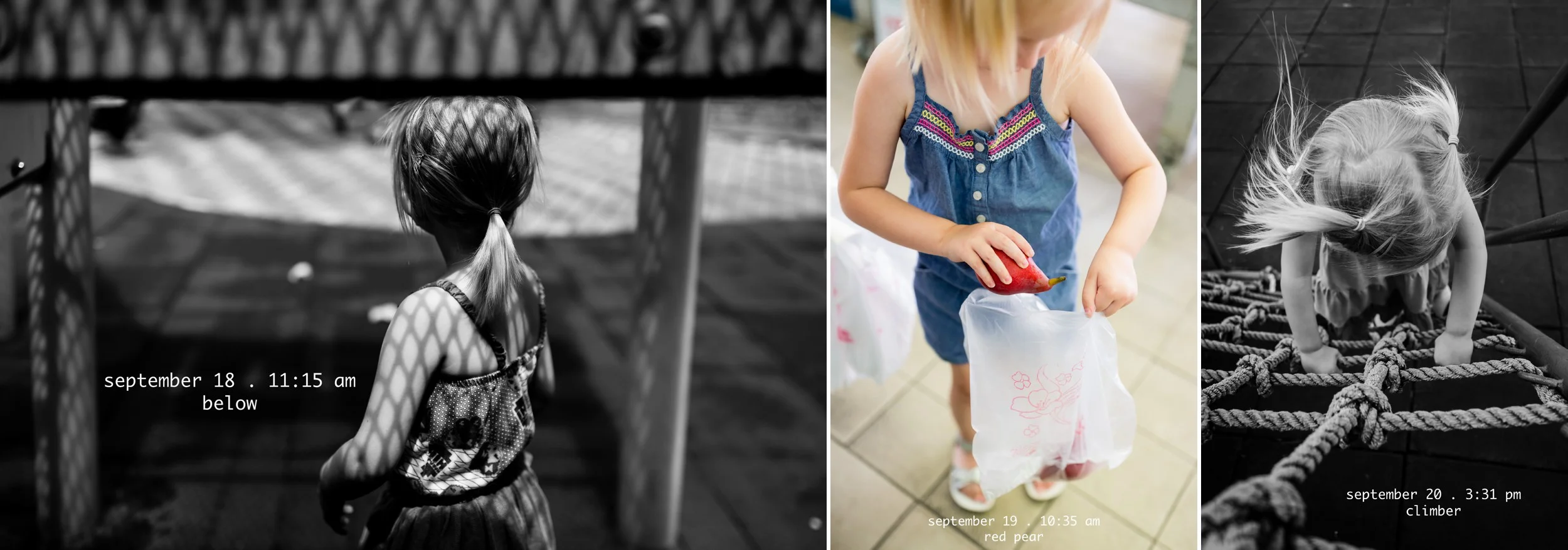 365_daily_photography_project_by_rebecca_hunnicutt_farren_0100.jpg