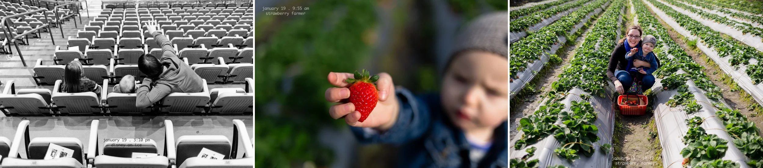 365_daily_photography_project__2015_by_rebecca_hunnicutt_farren_0009.jpg