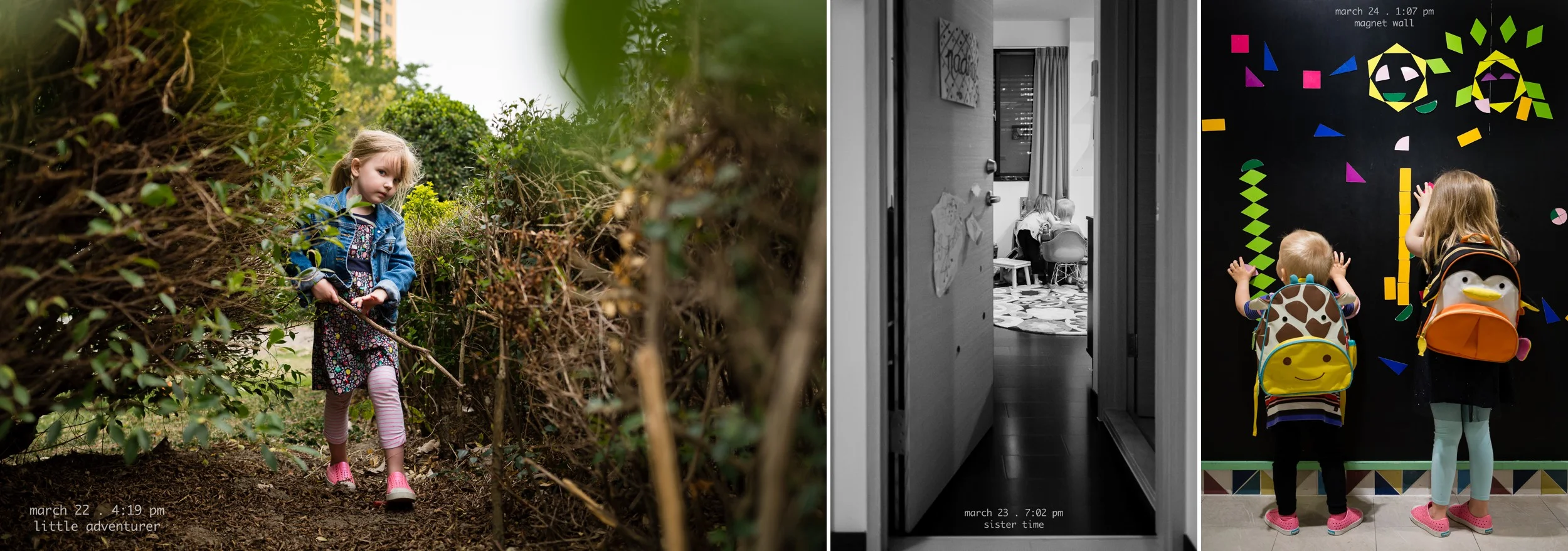 365_daily_photography_project__2015_by_rebecca_hunnicutt_farren_0033.jpg