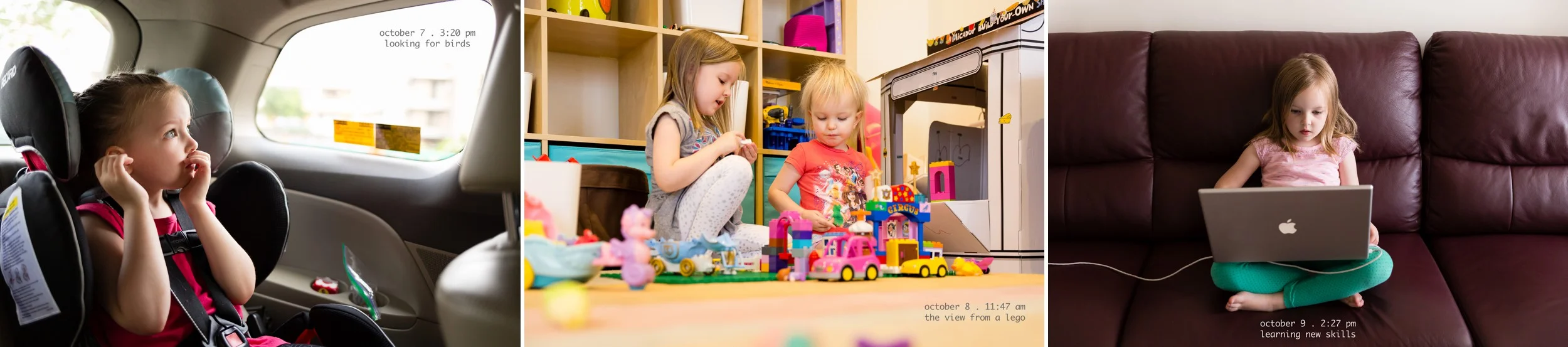 daily_photography_project_365_2015_by_rebecca_hunnicutt_farren_0105.jpg