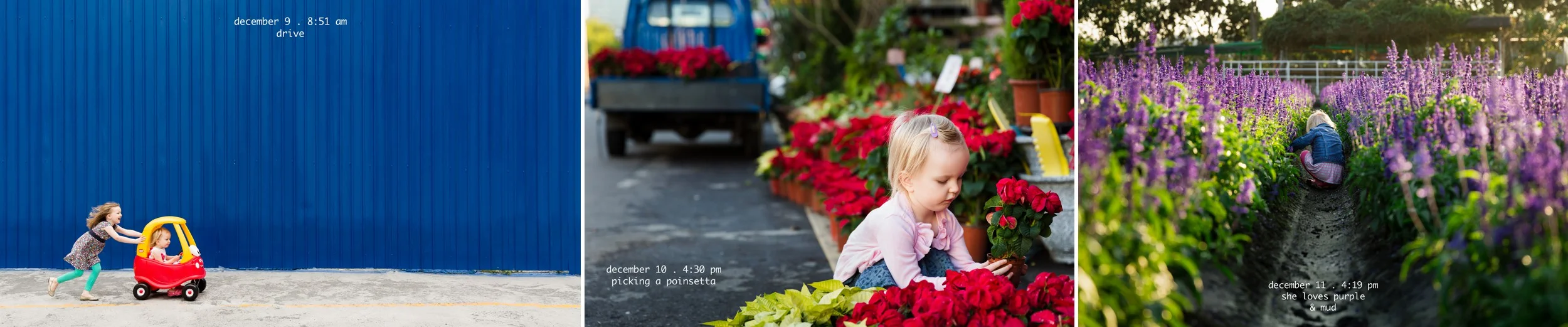 daily_photography_project_365_2015_by_rebecca_hunnicutt_farren_0129.jpg