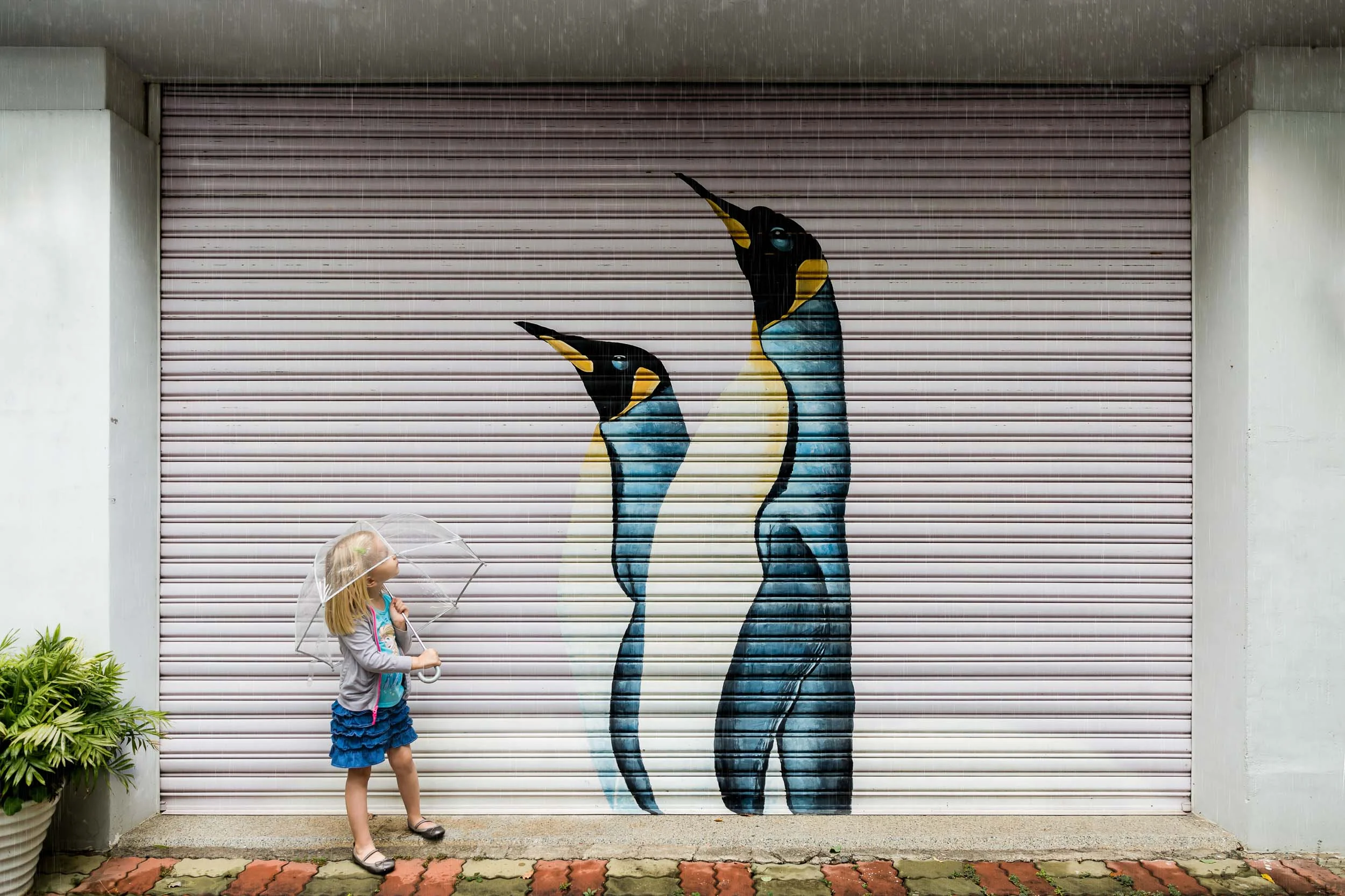 girl_with_clear_umbrella_looking_at_penguin_mural_on_door_Personal_portfolio_by_rebecca_hunnicutt_farren.jpg