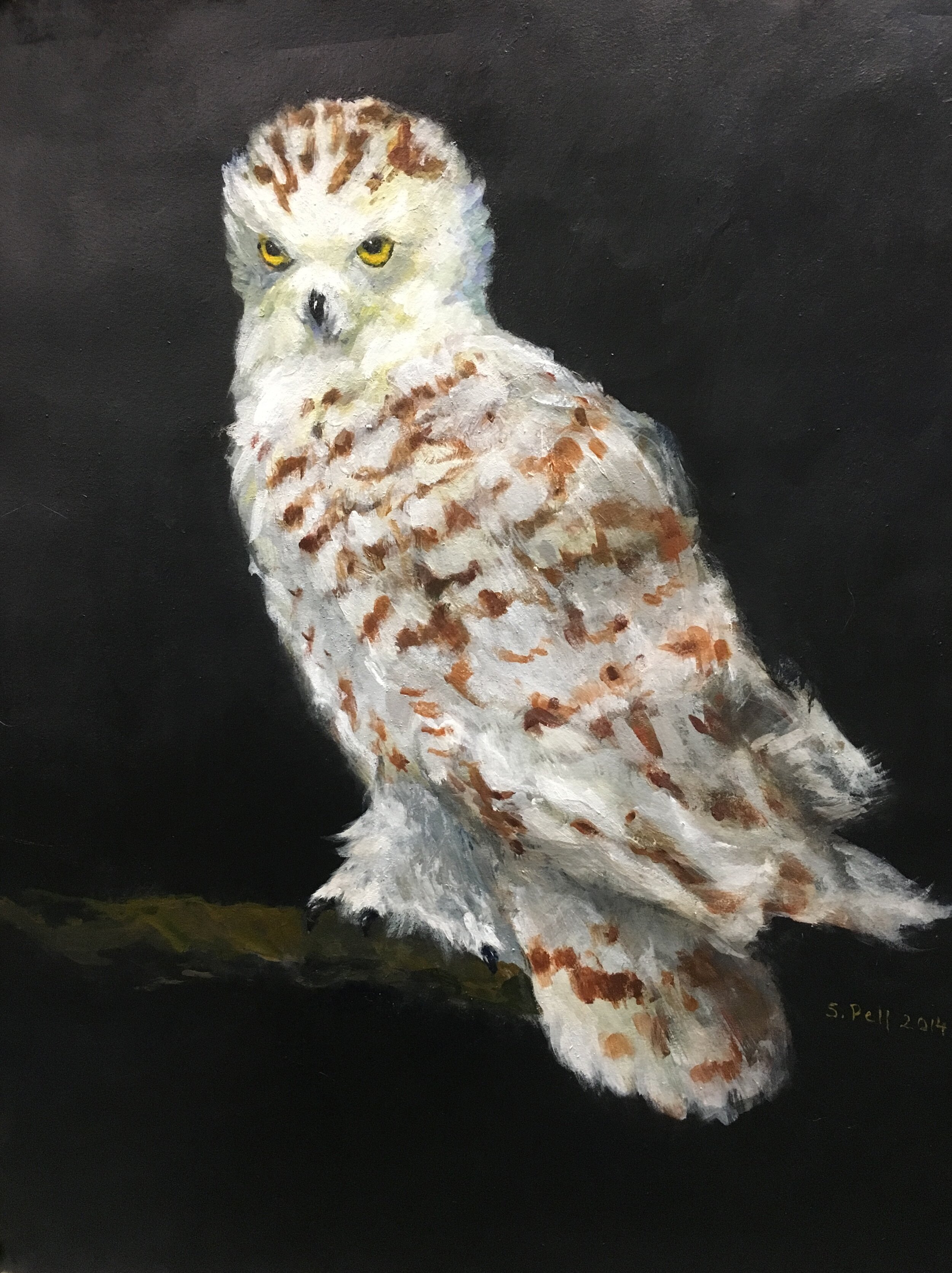 Mimi's Snowy Owl