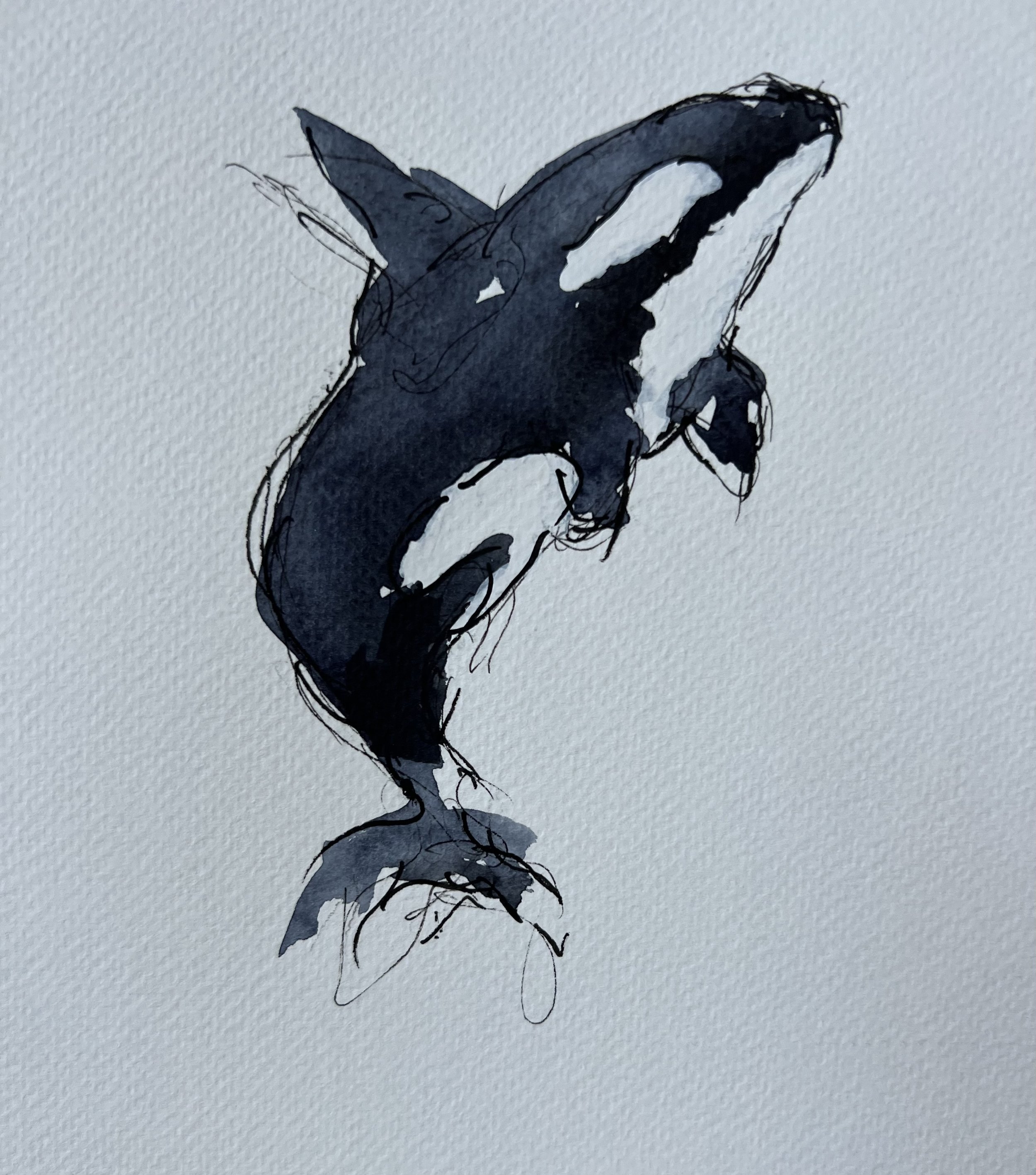Leap Orca