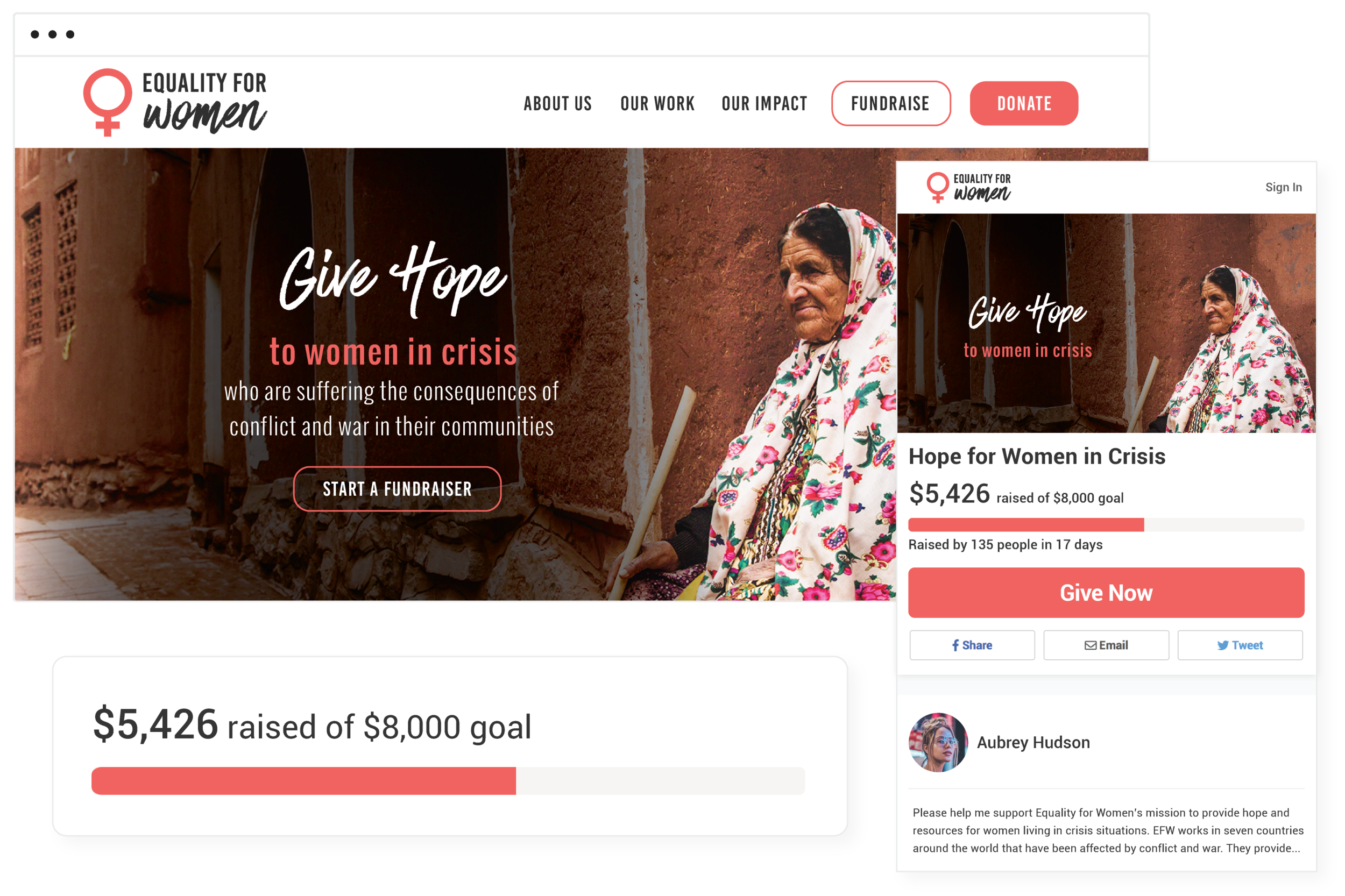 Cheerful_Nonprofit Crowdfunding.png