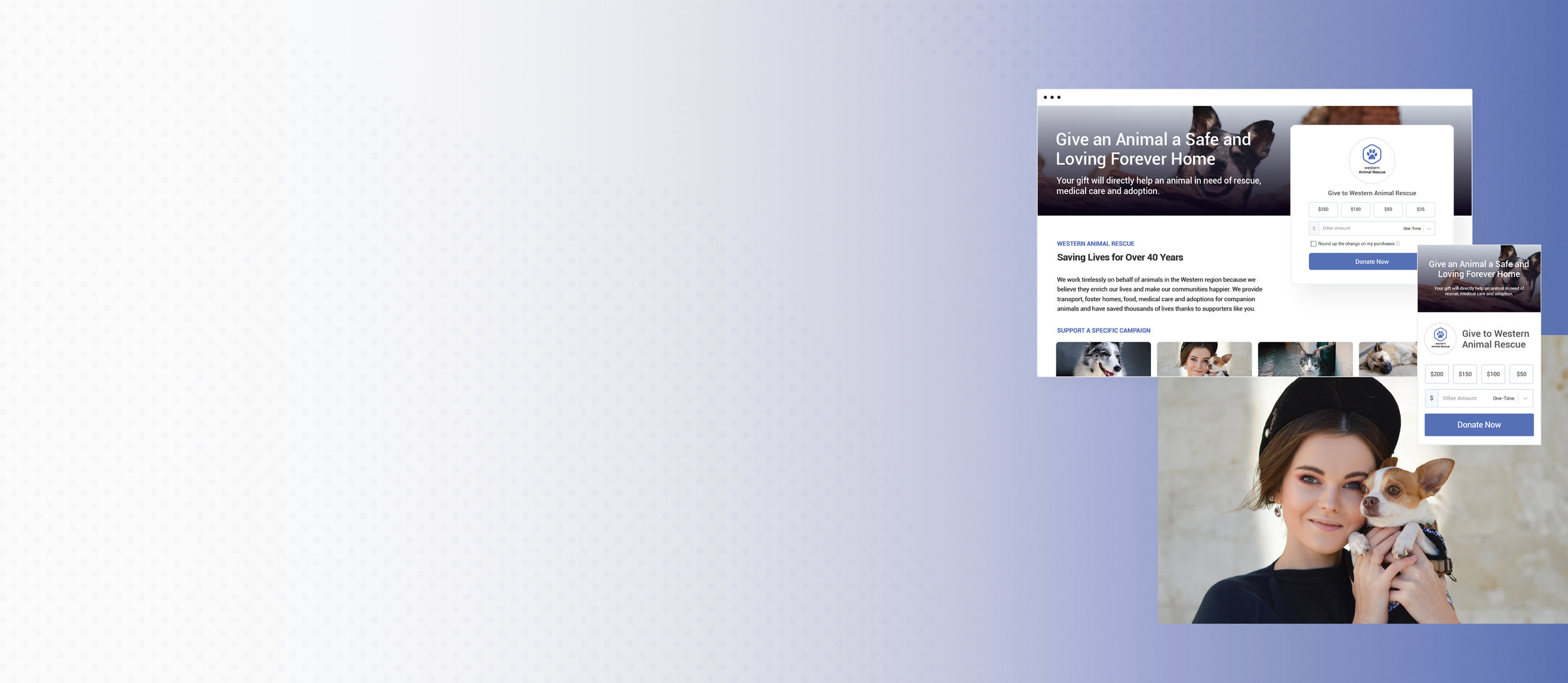 Cheerful_Nonprofit Donation Pages.jpg