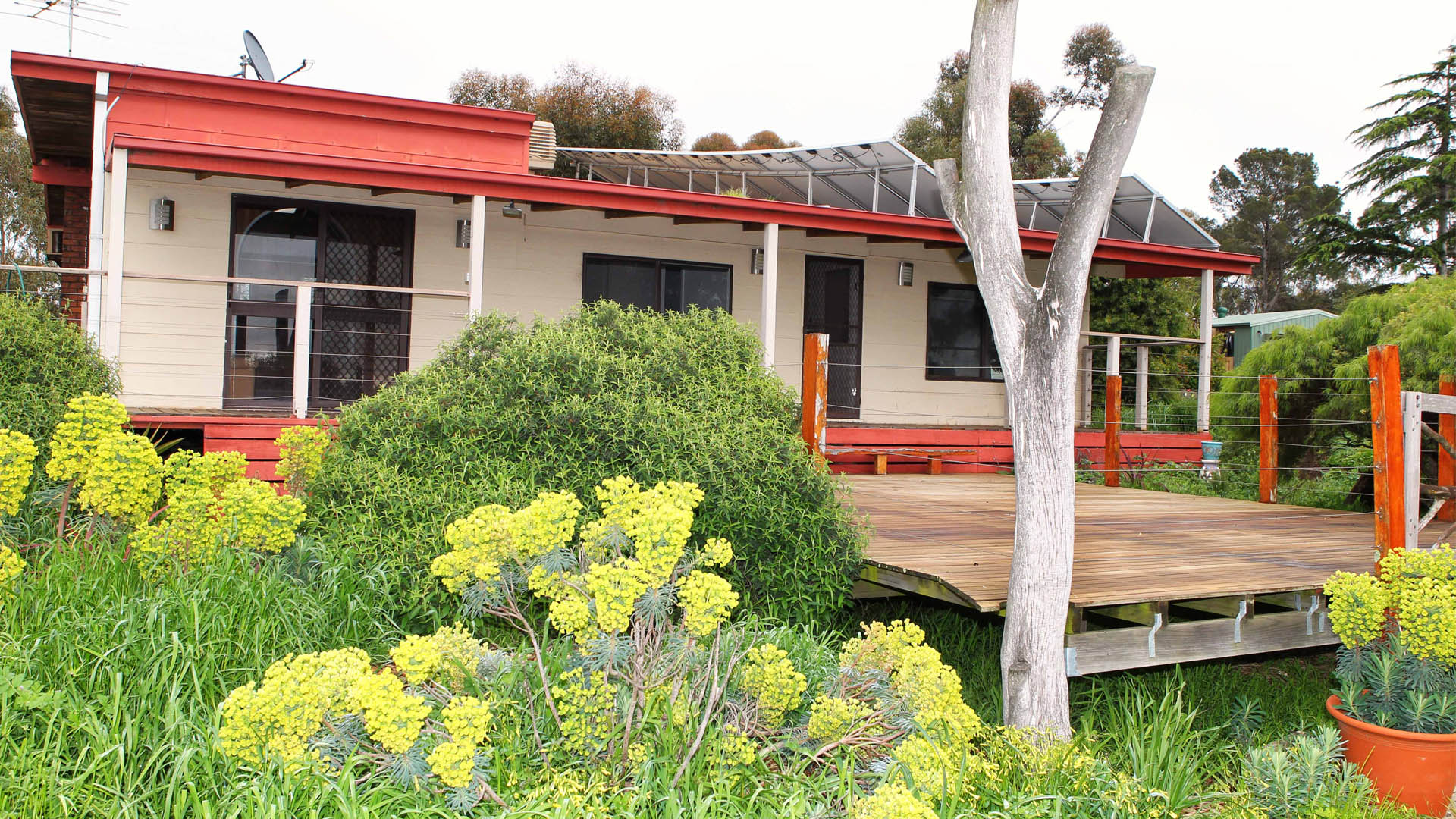 Farm Stay garden.jpg