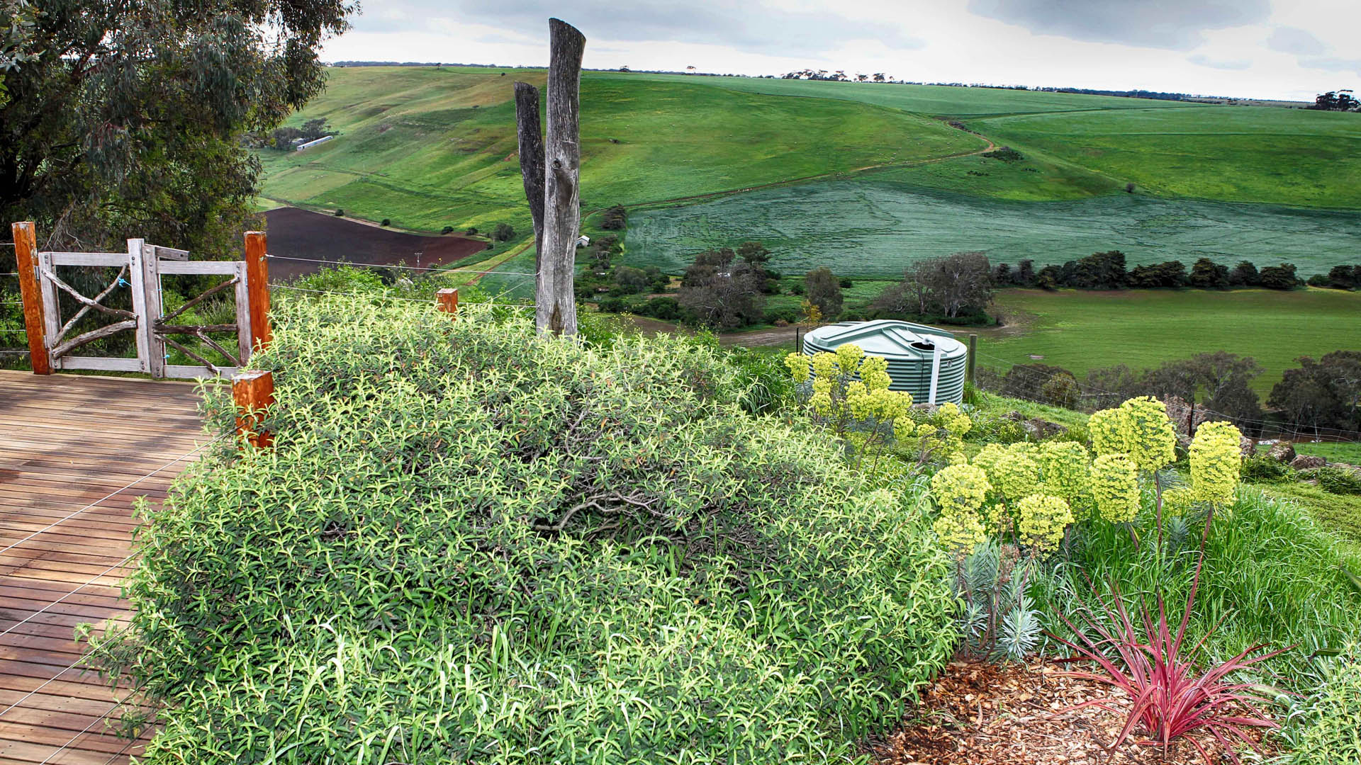 Farm Stay garden and valley.jpg