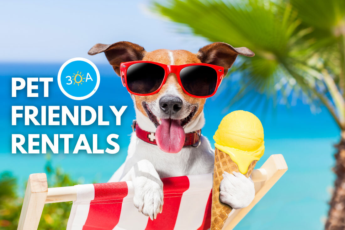 Pet-Friendly Vacation Rental Homes Along Florida’s Scenic 30A