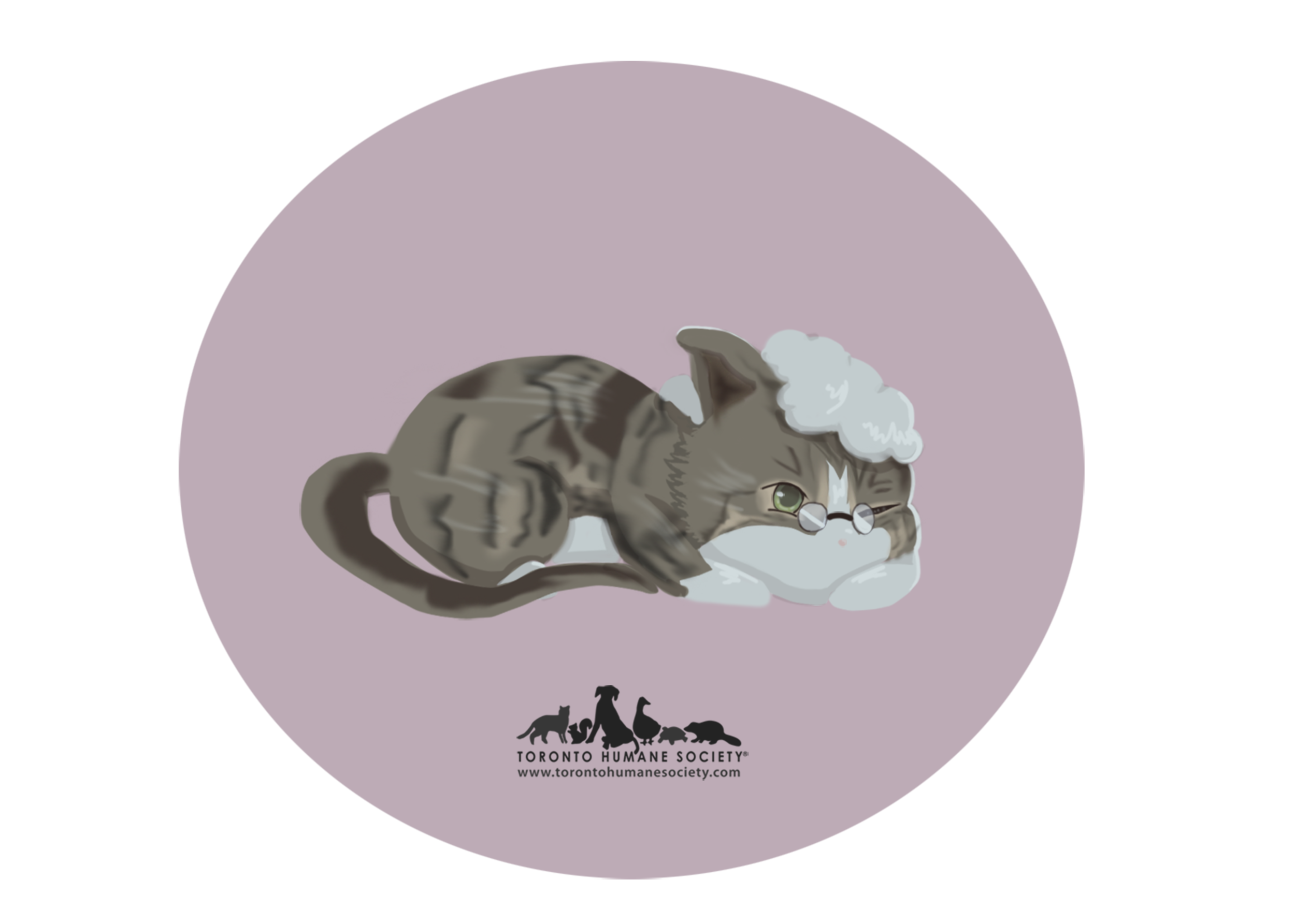 Grandma cat