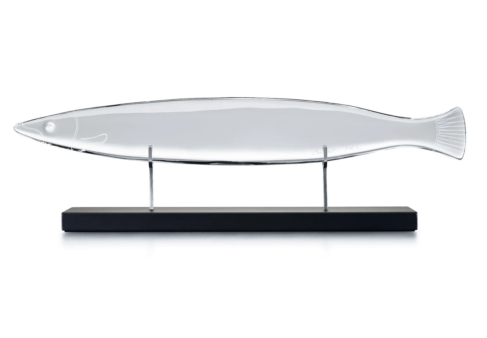 27. Barracuda - François-Xavier Lalanne