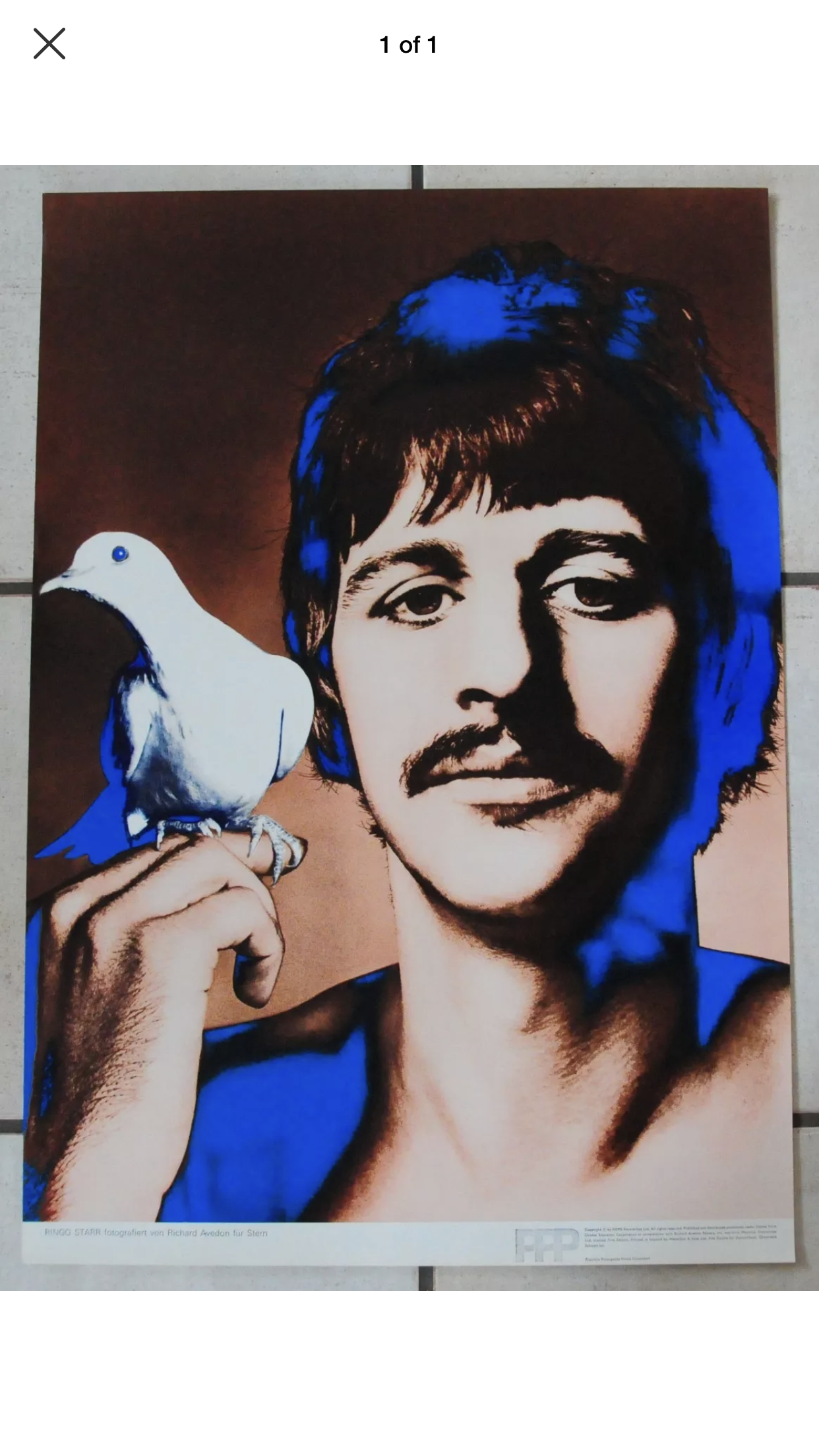 233. Richard Avedon Beatles Poster (set of 2 poster) - Ringo & Paul