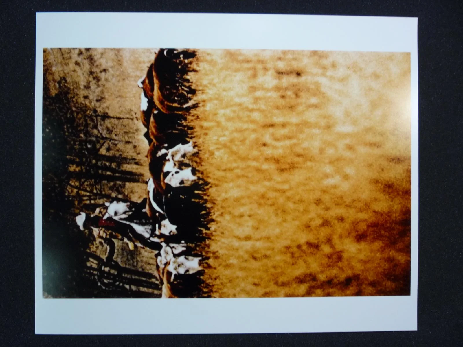 27. Untitled 2 (from cowboys &amp; girlfriends series) - Richard Prince