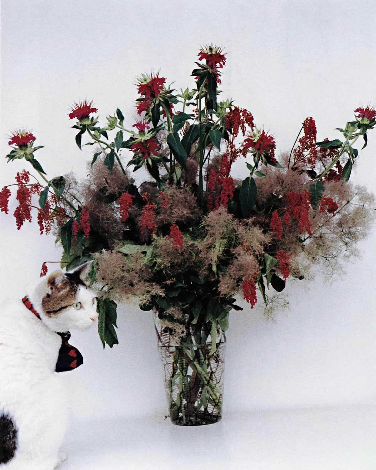 35. Chiro - Nobuyoshi Araki