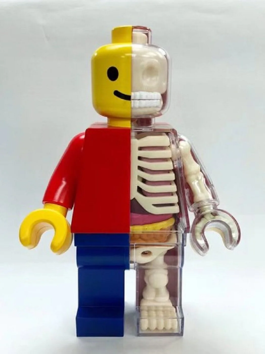 119. Anatomical Brick Man Large (30cm) - Jason Freeny