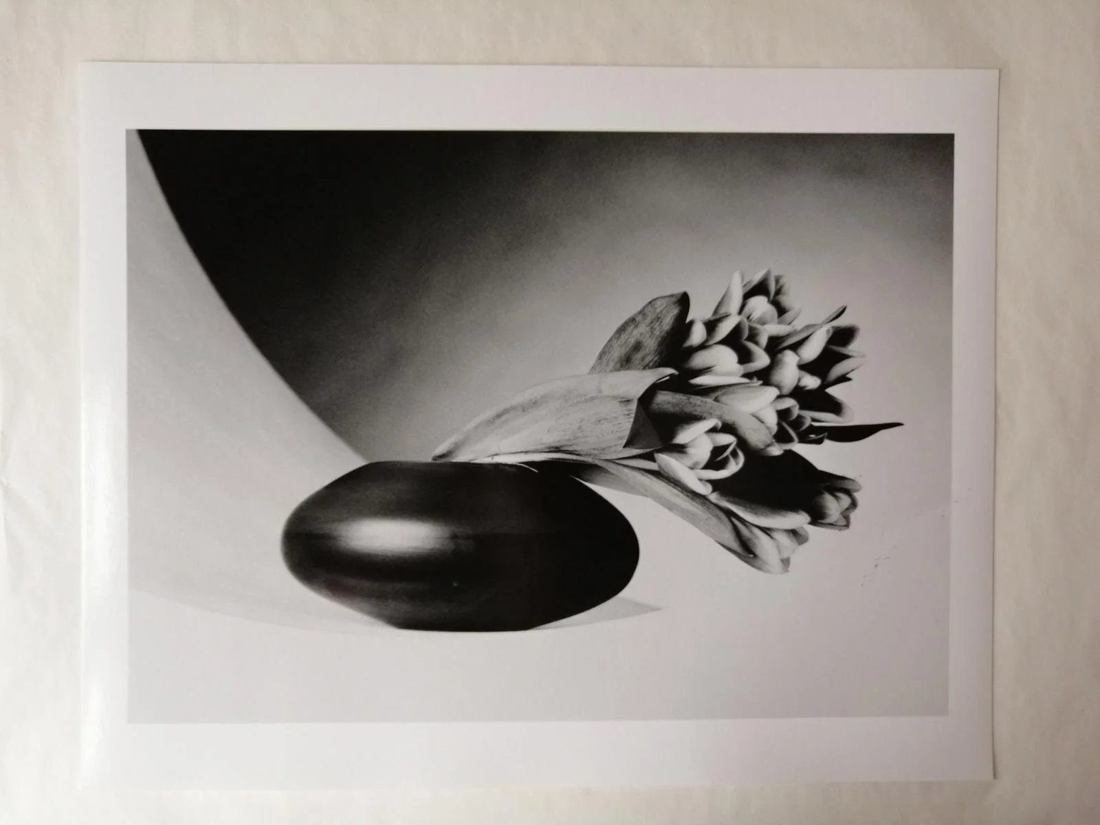 17. Tulips - Robert Mapplethorpe
