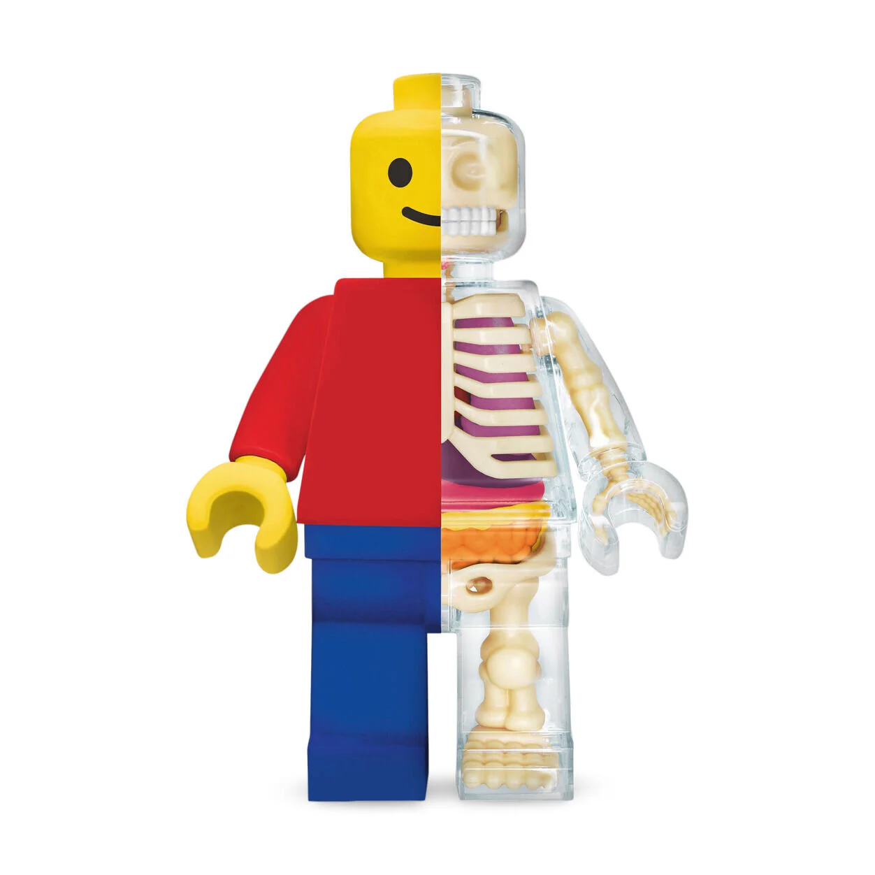 107. Anatomical Brick Man Large (30cm) - Jason Freeny