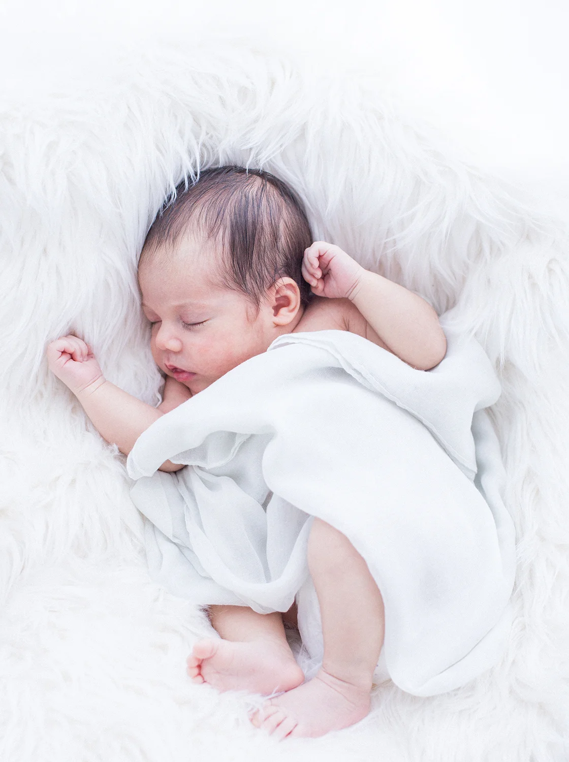 Newborn Portrait