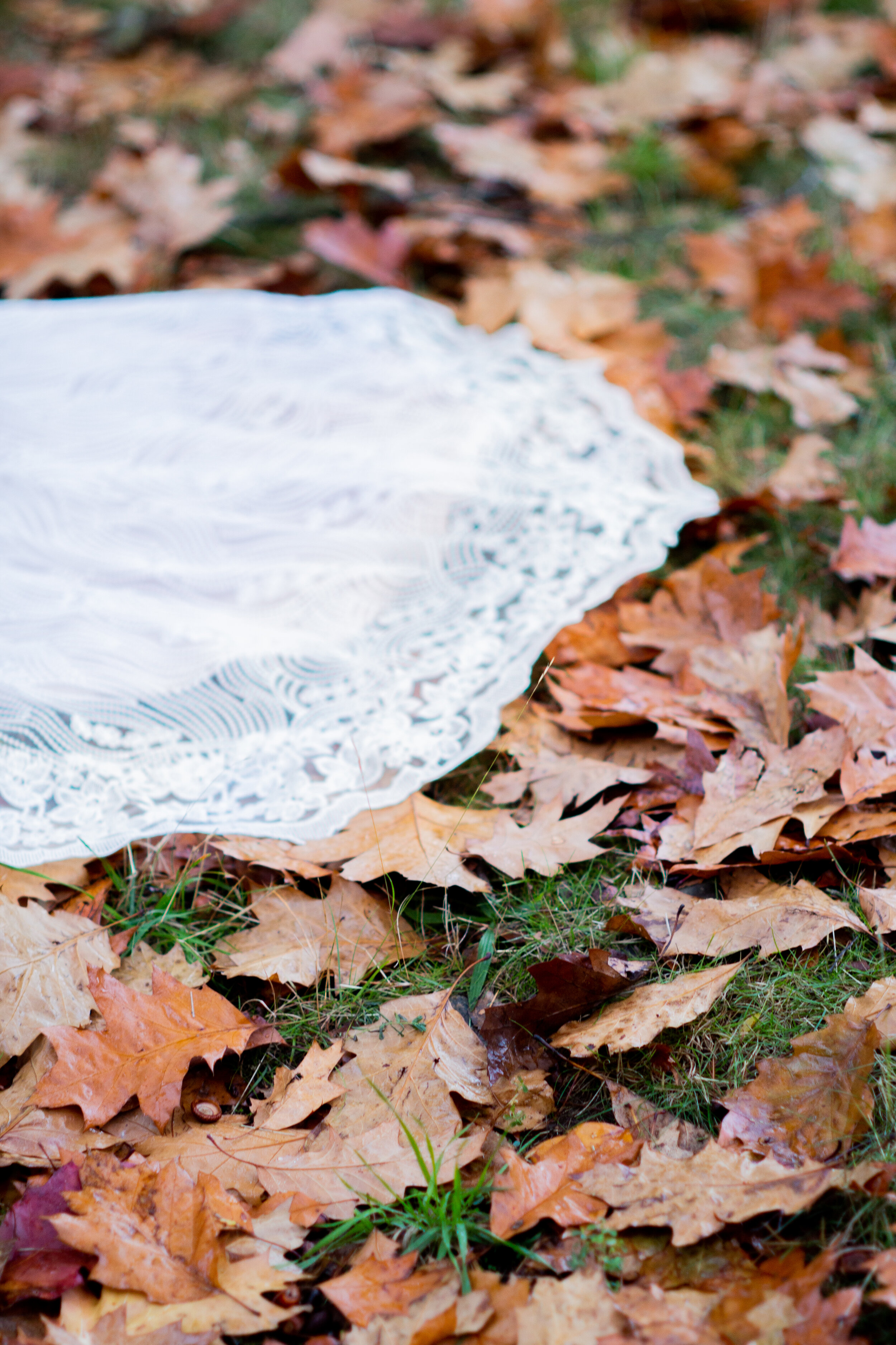 Lace wedding dress in Autumn leaves