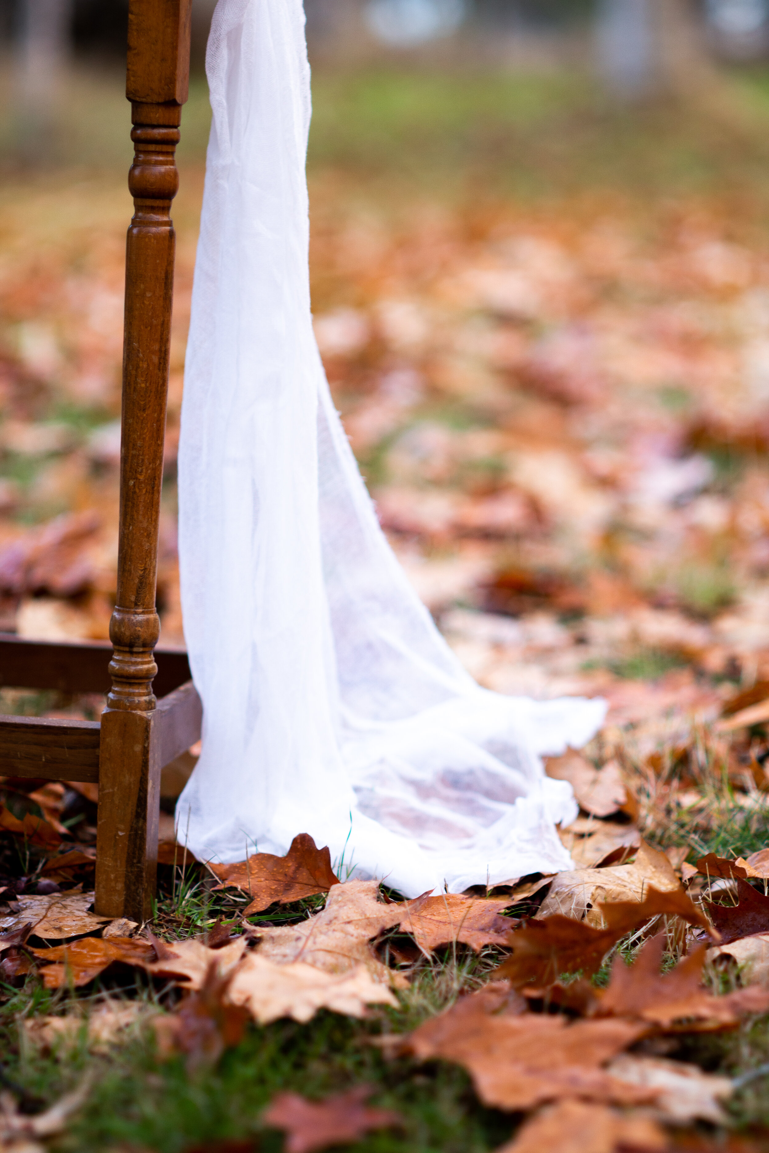 Fall Photography New Zealand