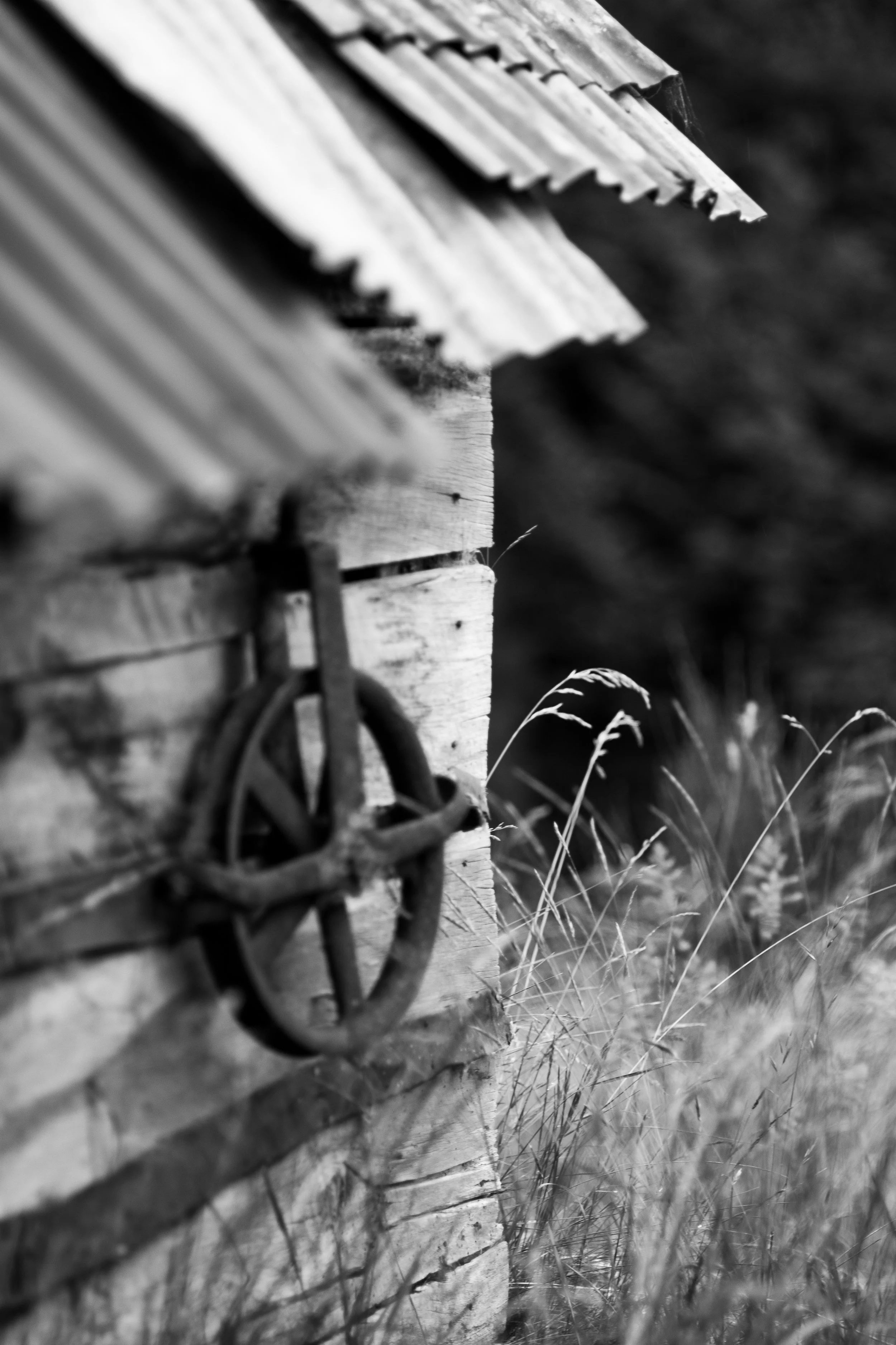 Miners hut overlooking shotover river at trelawn place