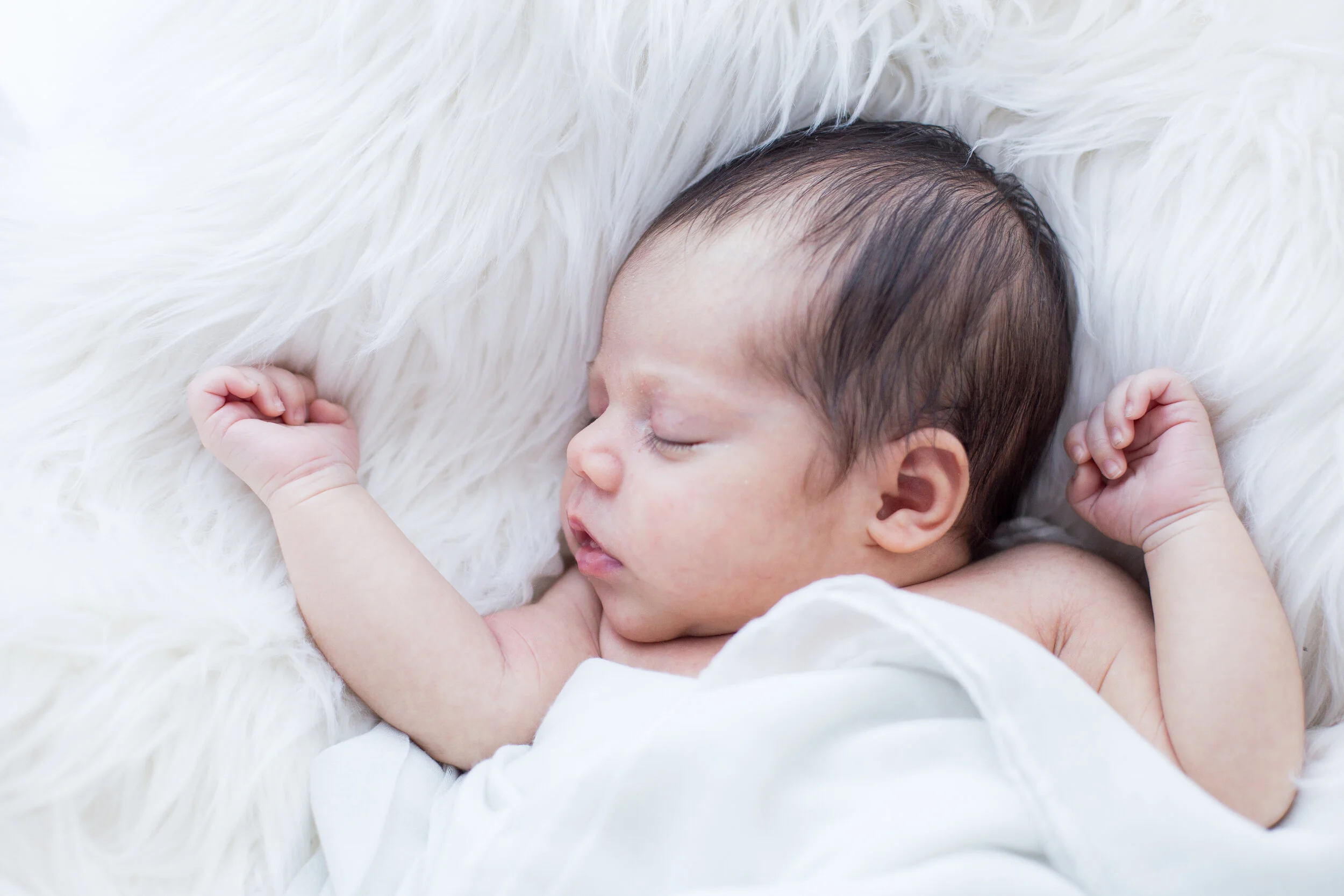 Family Photography Newborn Portraits