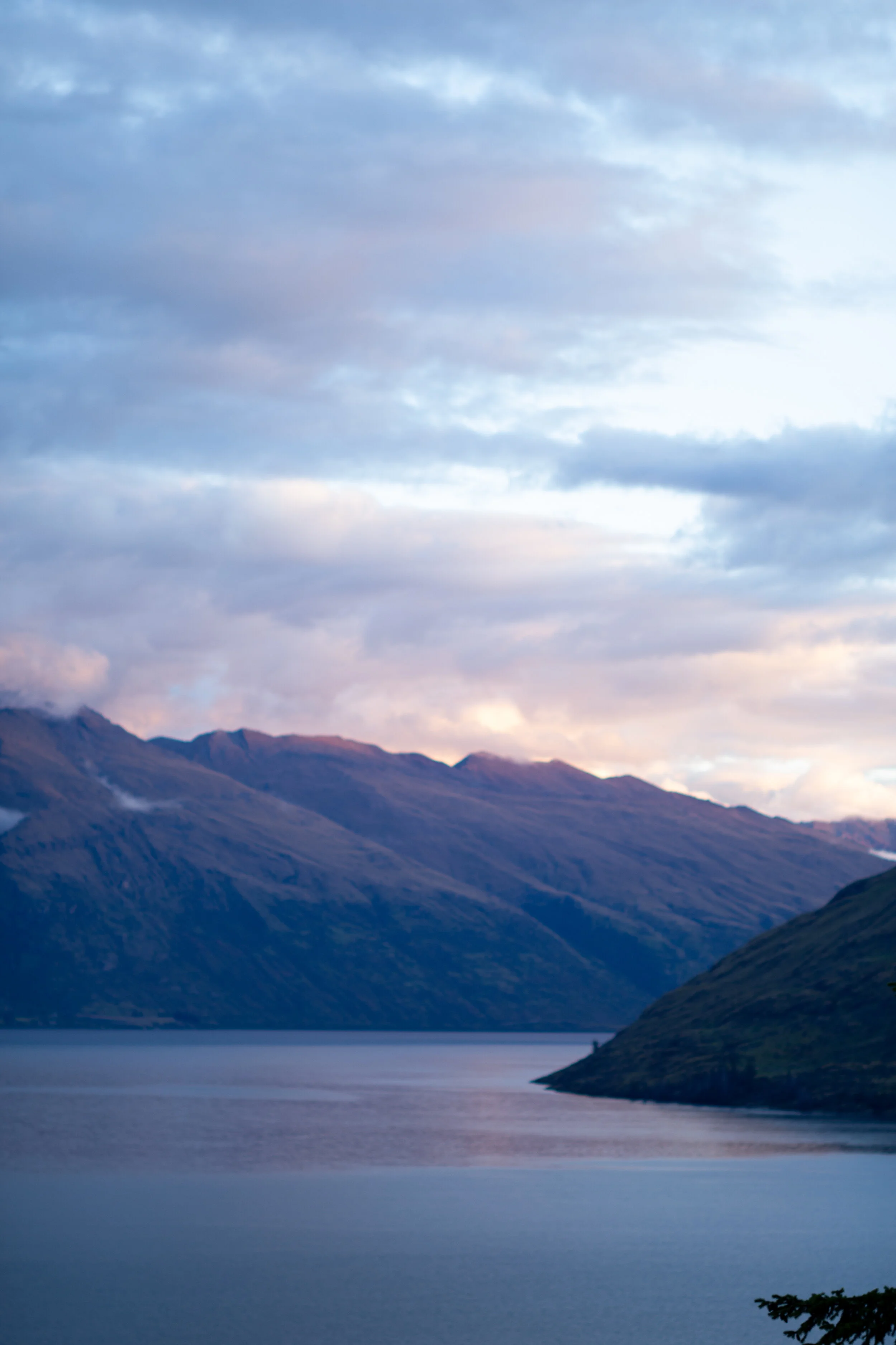 NATURE PORTRAIT PHOTOGRAPHY QUEENSTOWN New Zealand