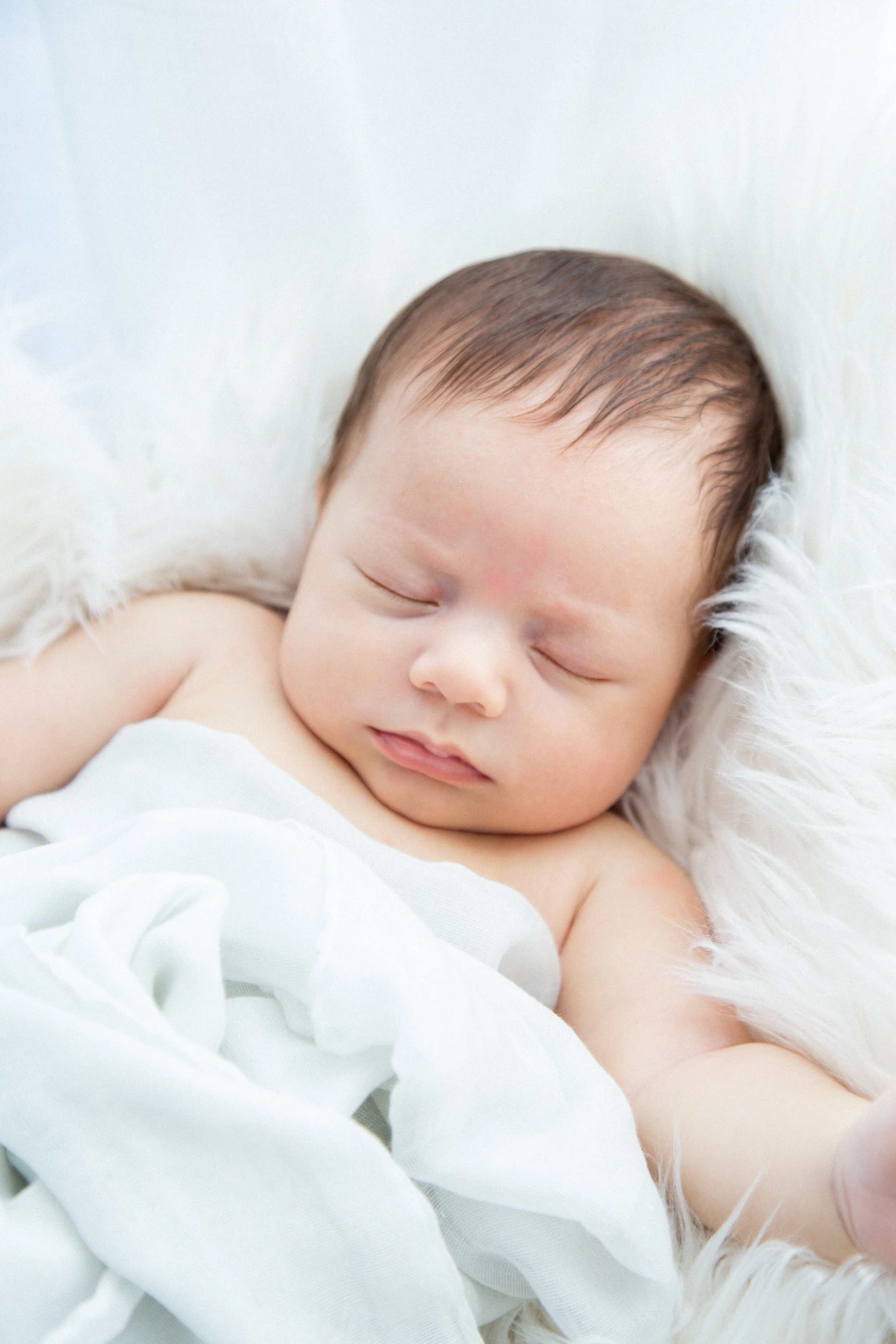 newborn Portraits