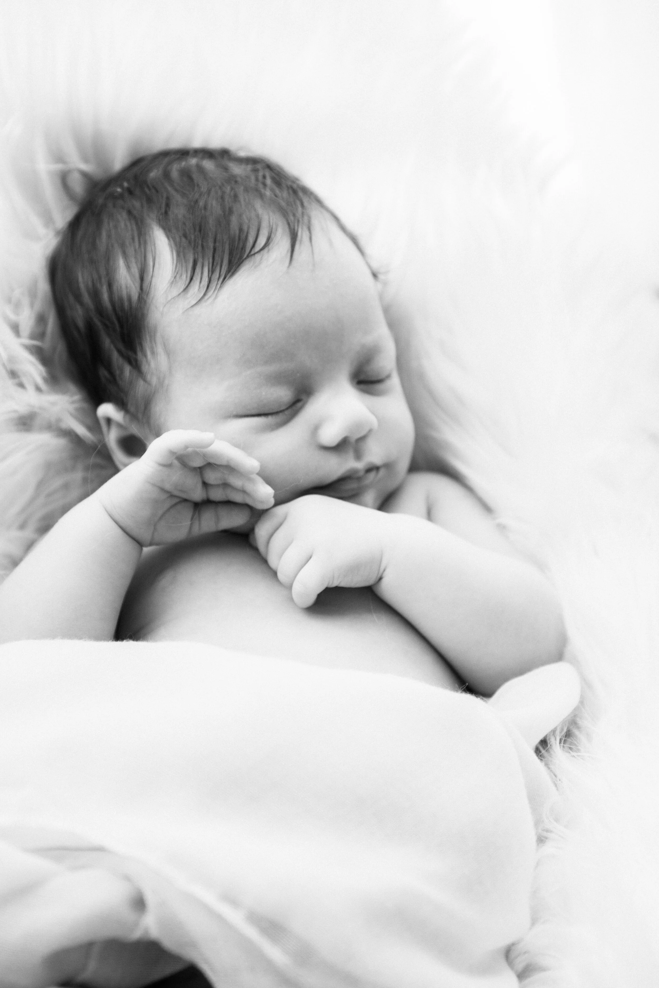 Timeless &amp; Delicate Newborn Collection