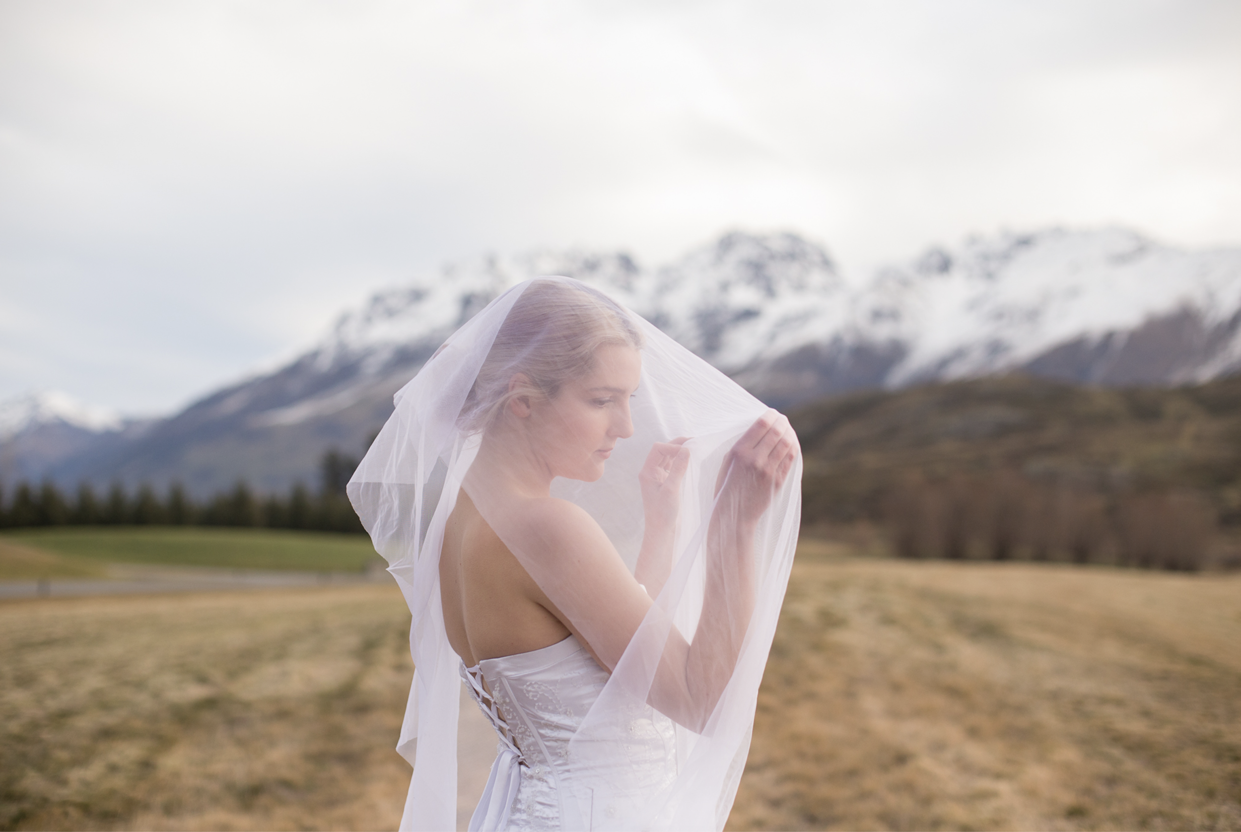 Screen Shot 2019-06-14 at 3.30.25 PM.png