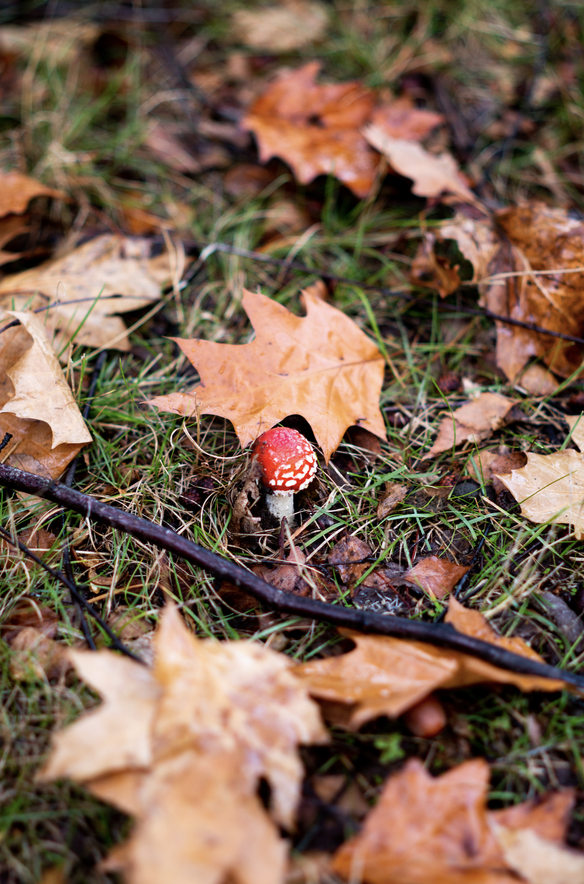 Screen Shot 2022-05-05 at 10.09.31 PM.png