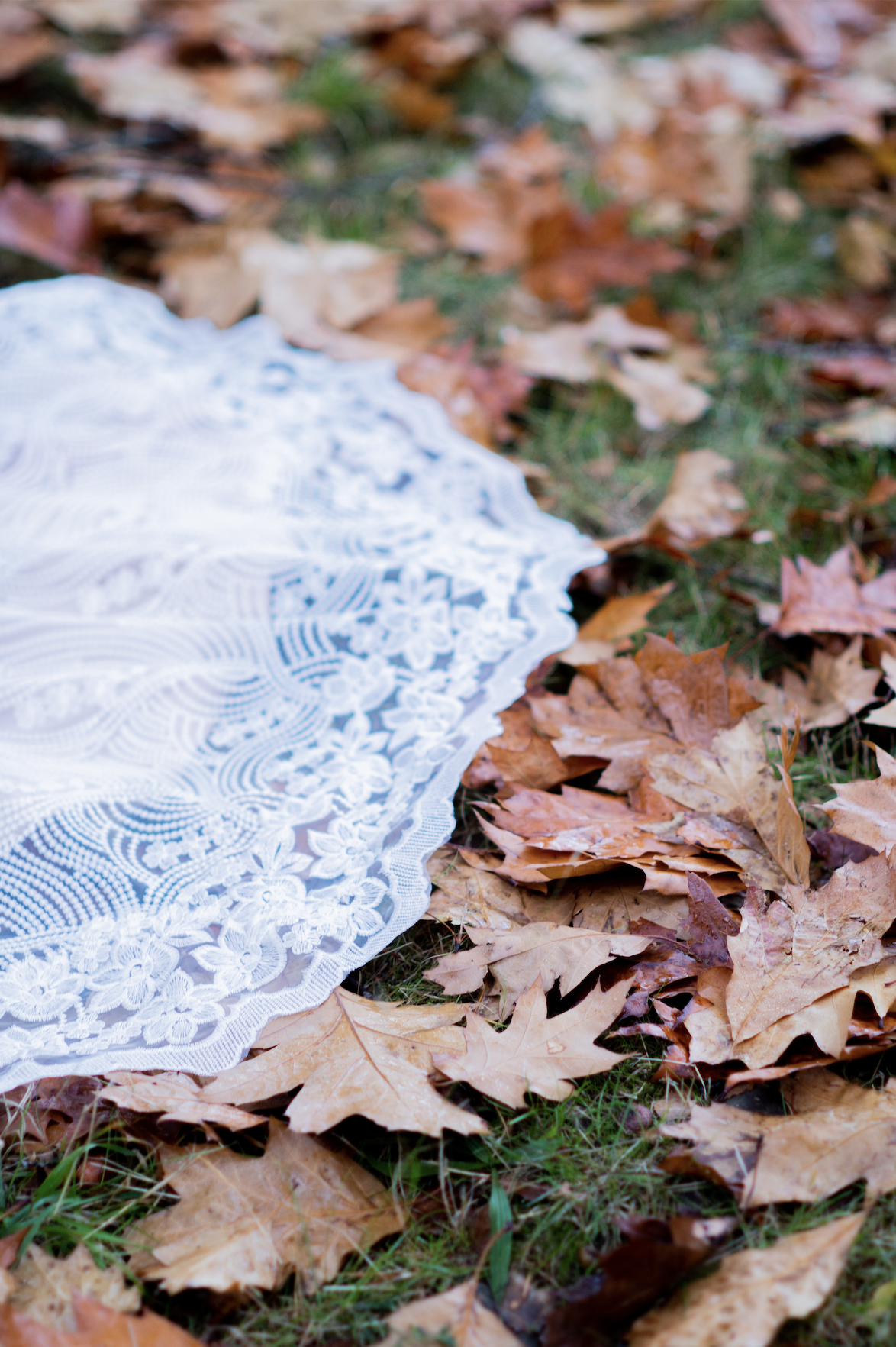 Wedding Dress in Autumn Leaves