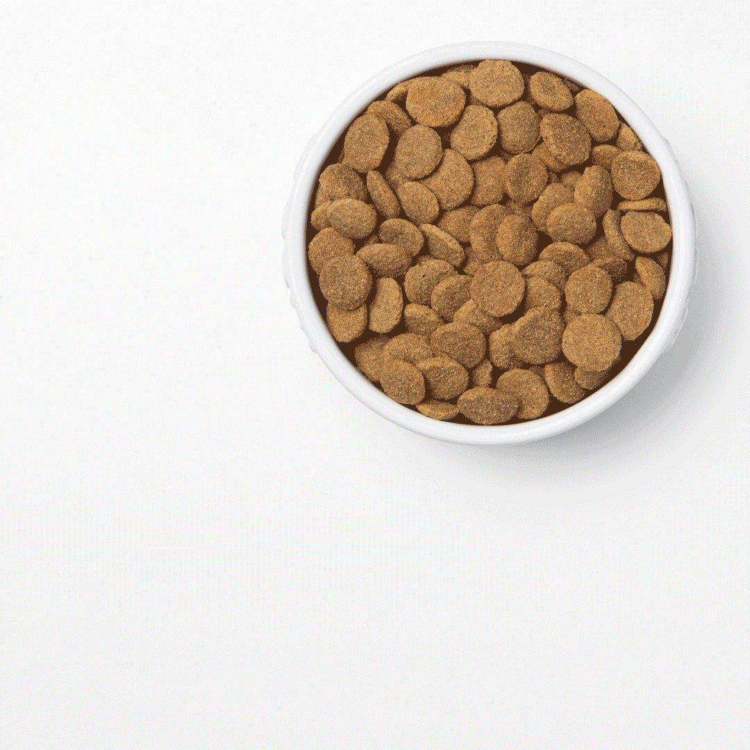 SG_Seamless_BowlSplit_HundNFlocken_BoneBroth_Gif_1080x1080.gif