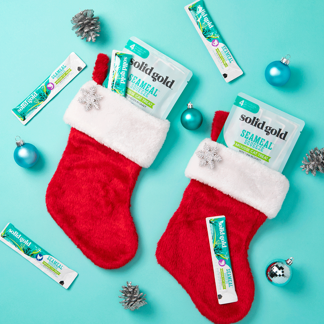 SG_Seamless_Holiday_SeamealSqueeze_1080x1080.gif