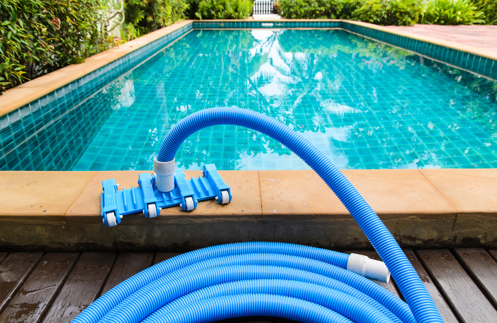 pool equipment.jpeg