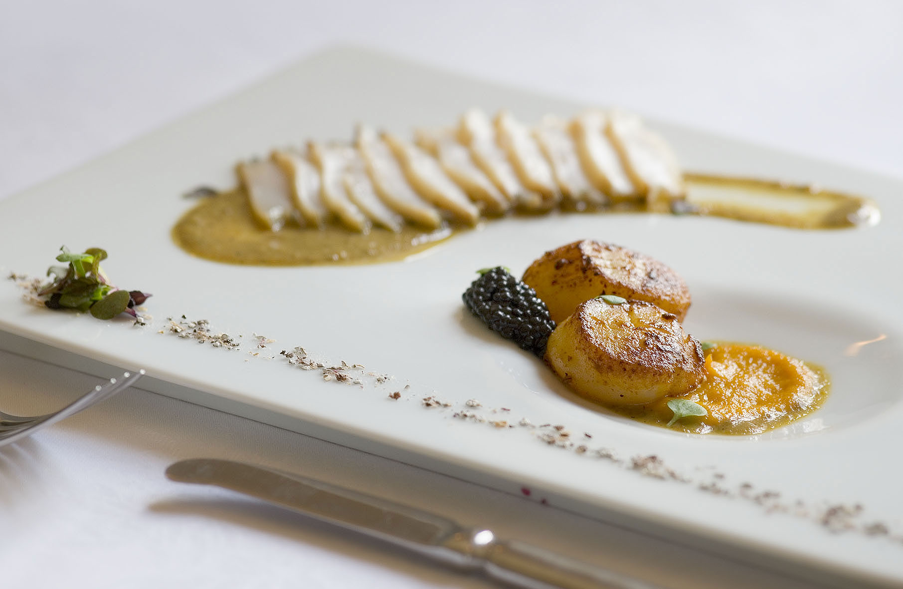 Merrijig abalone 4.jpg