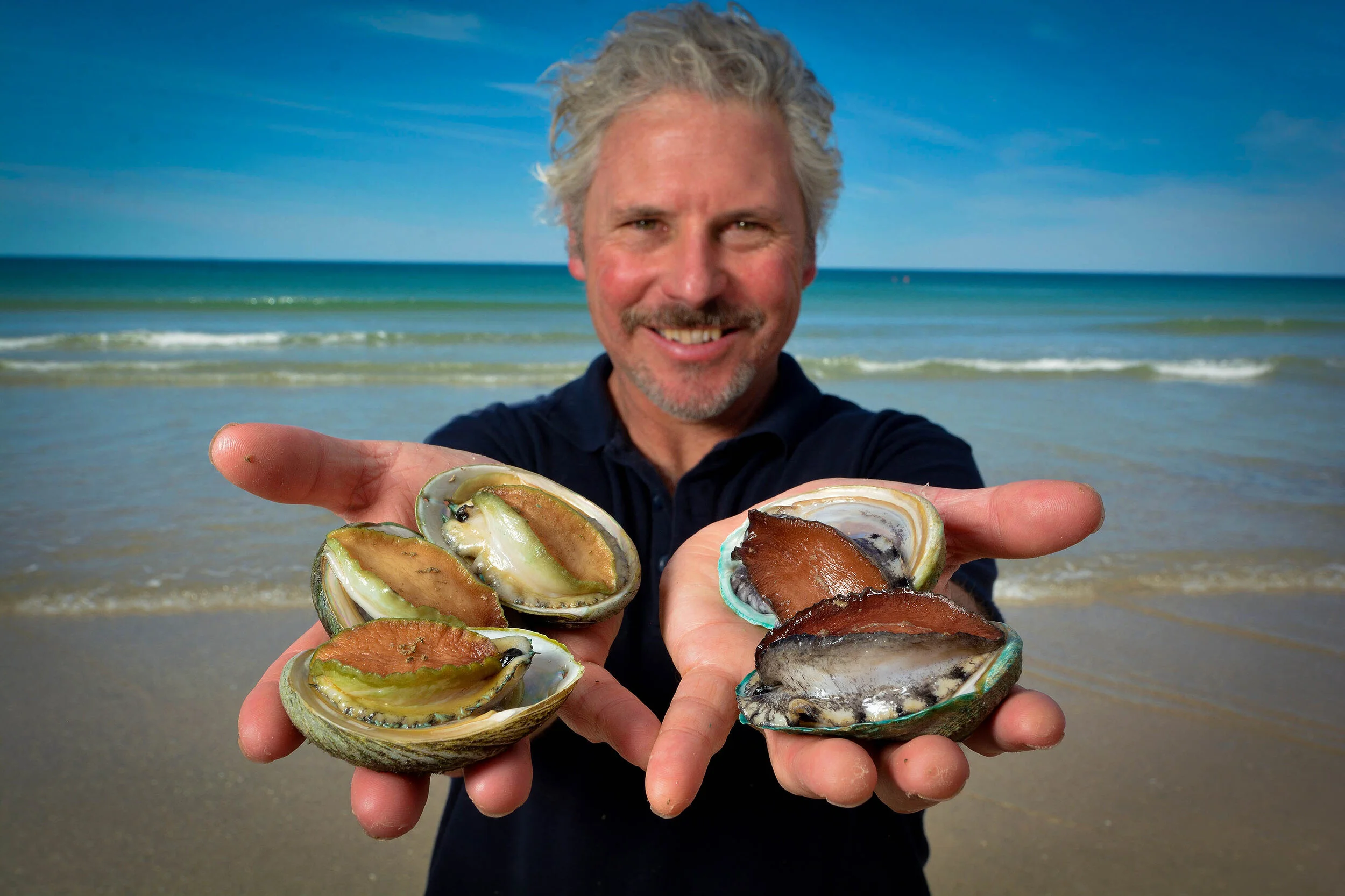 Abalone-23-2.jpg