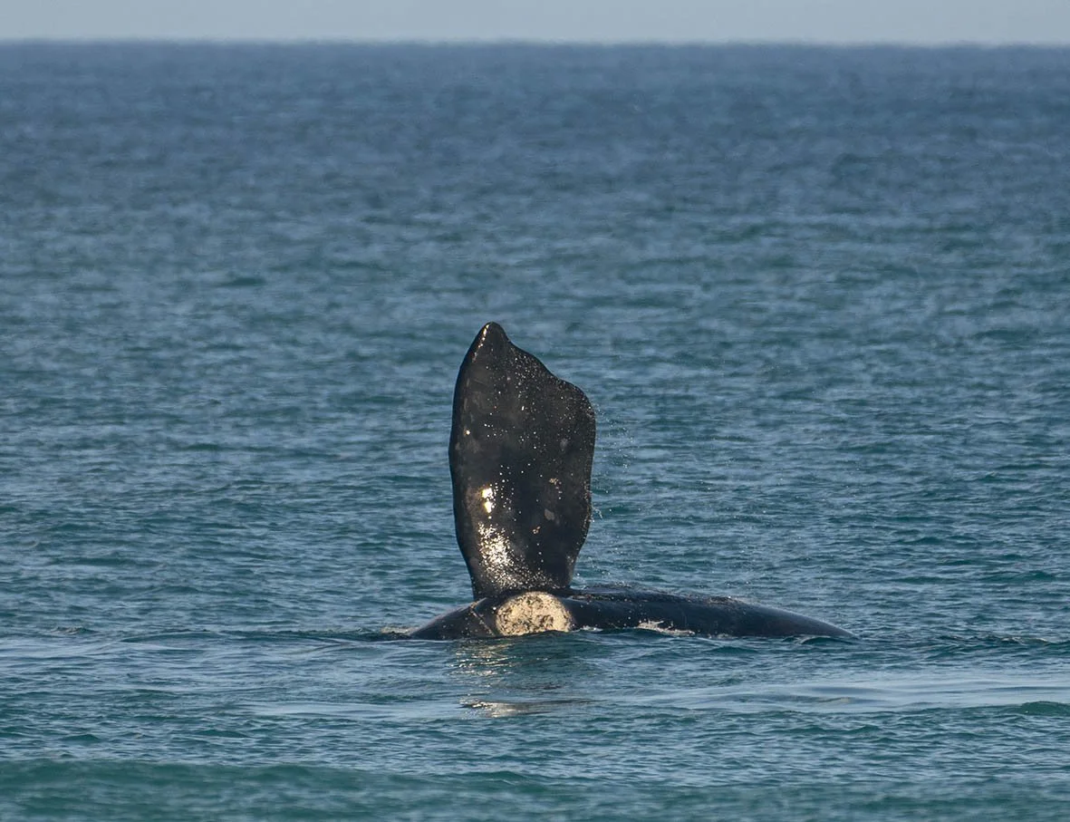DSC_9792.jpg