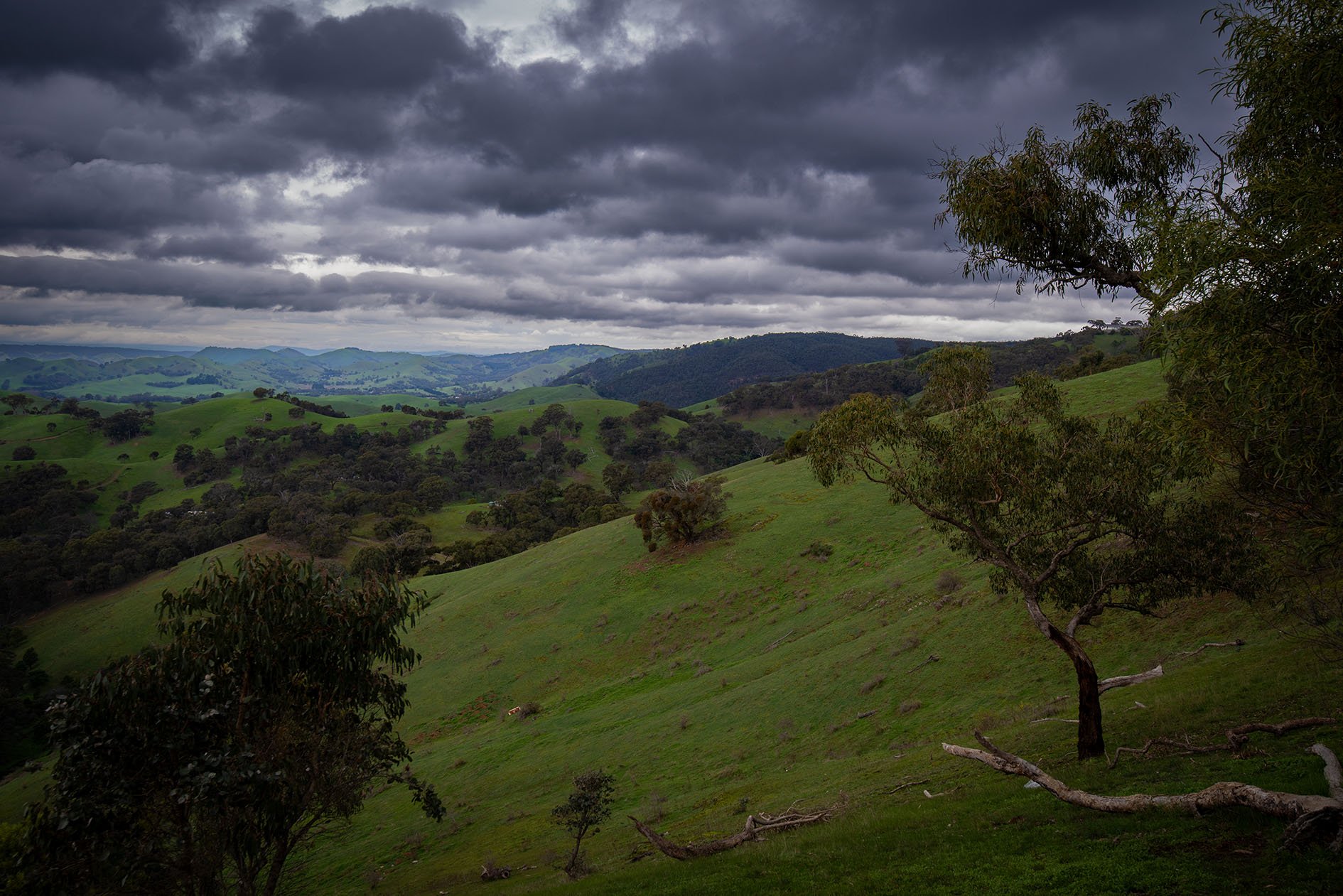 DS7_1429.jpg