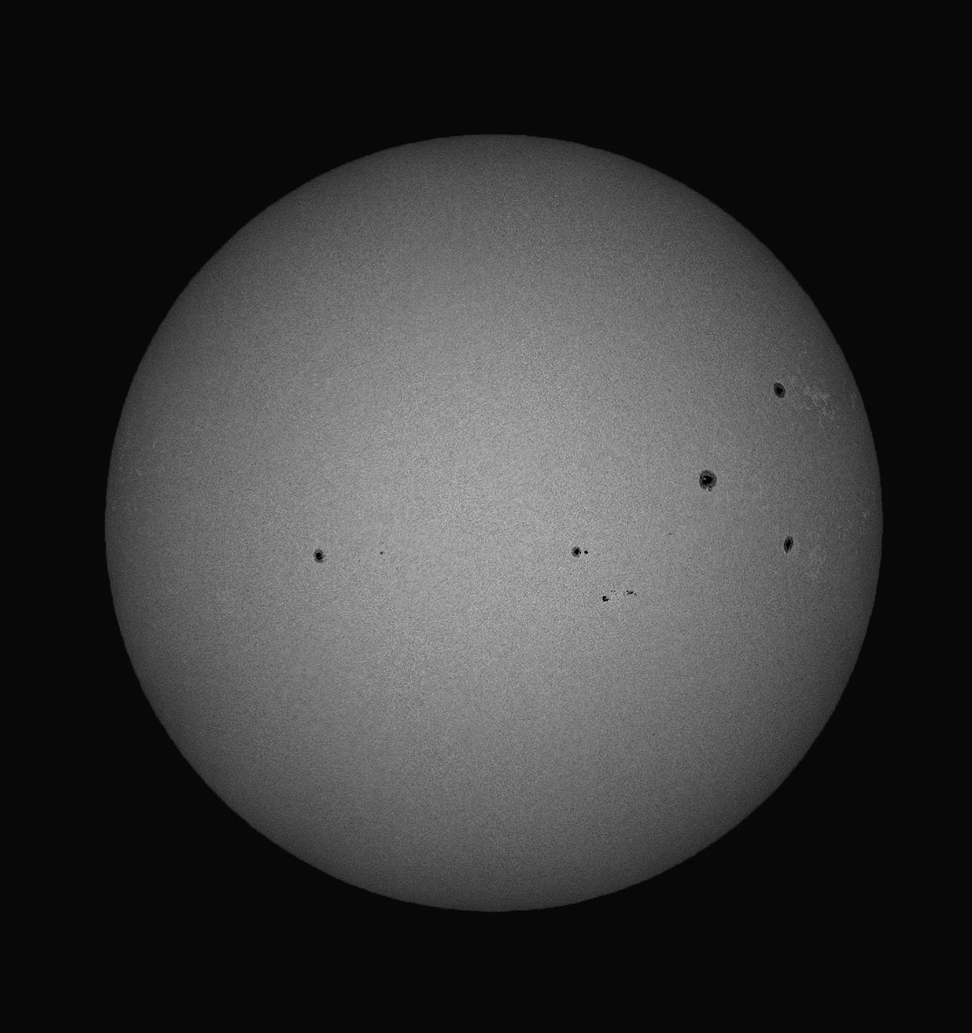 D85_9560.jpg