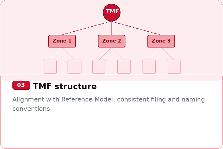 03_tmf_structure.png