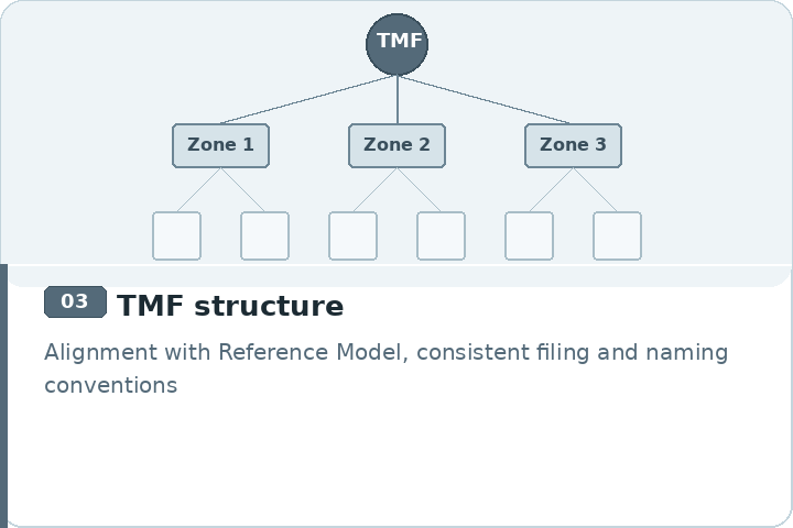 03_tmf_structure.png