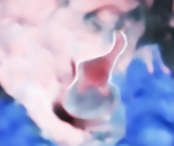 Screenshot 2026-03-08 at 10.22.41 AM.png