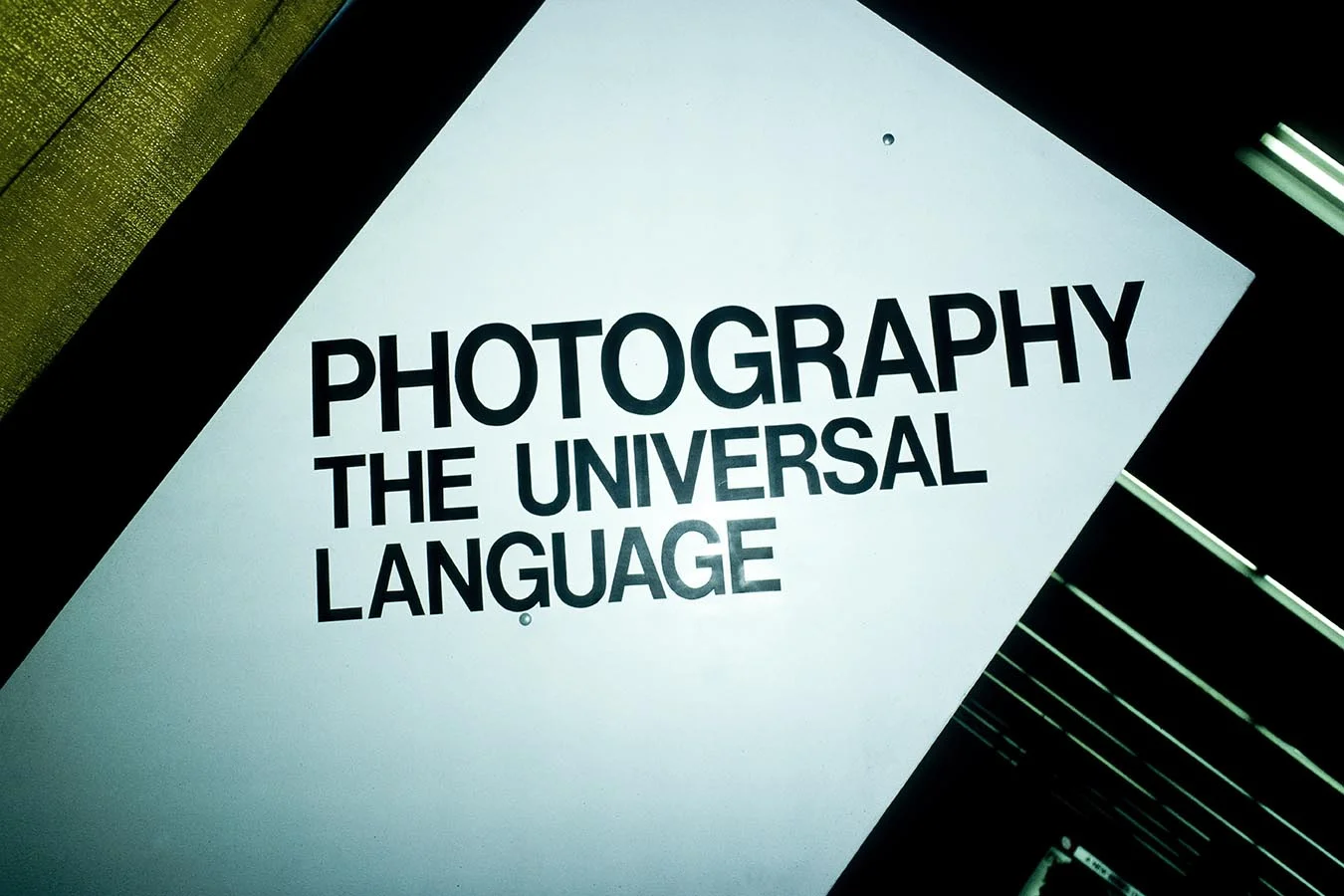 scan2017RM cropp copy.jpg