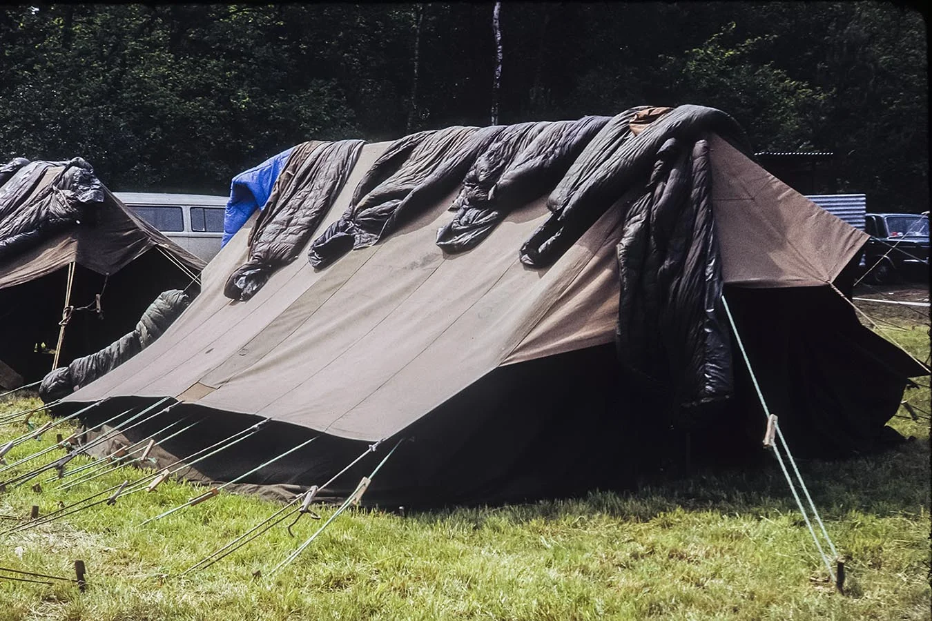 scan0010 crop copy.jpg