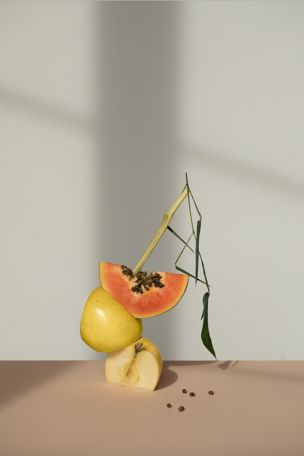 Flamingo — mat cullen