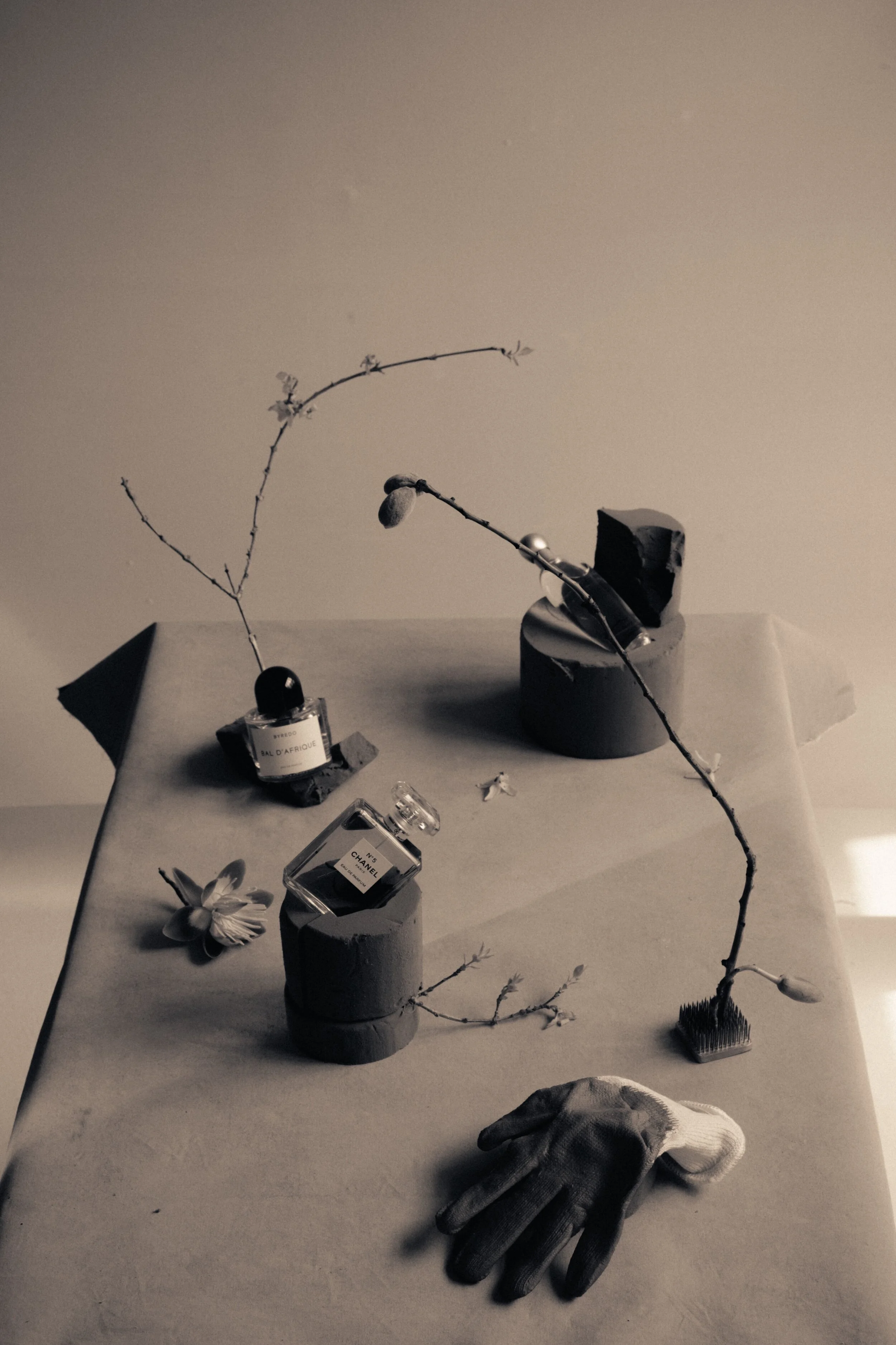 VG_T MAG-SHOT 4-0070.jpeg