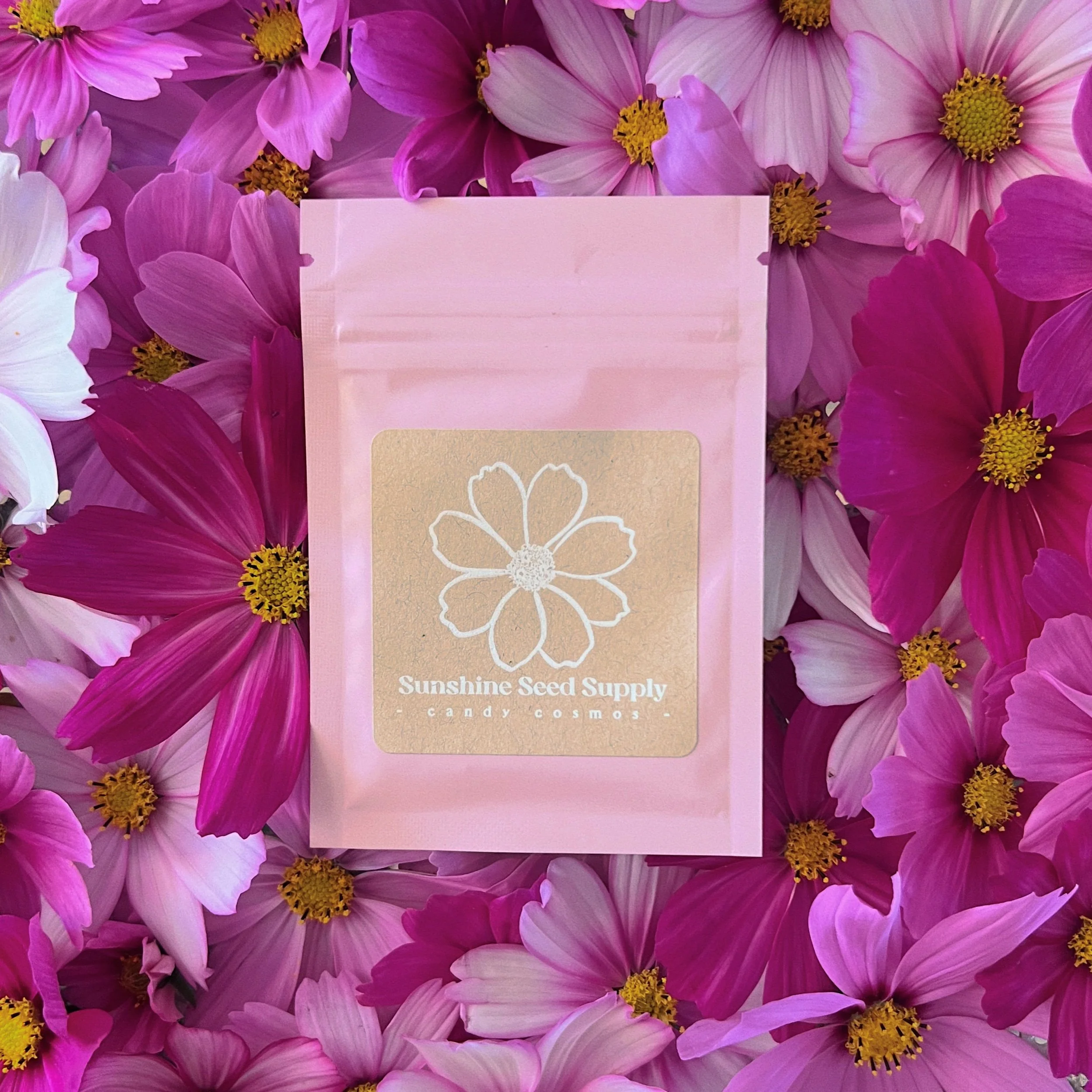 FB229C7F-F116-4CDA-82BB-E532F5283BC7