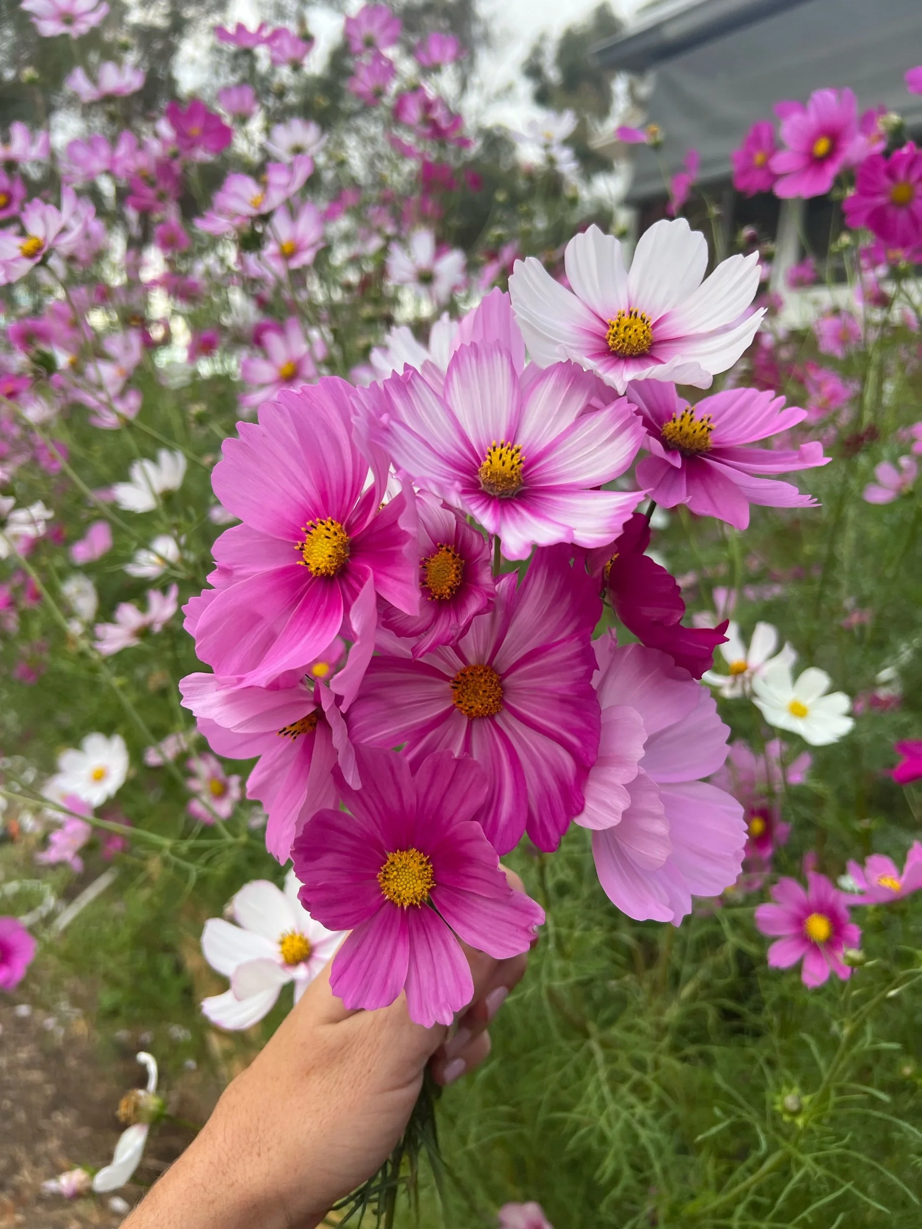 D95C5F3F-72E1-46D6-8275-4C4D7B88F402