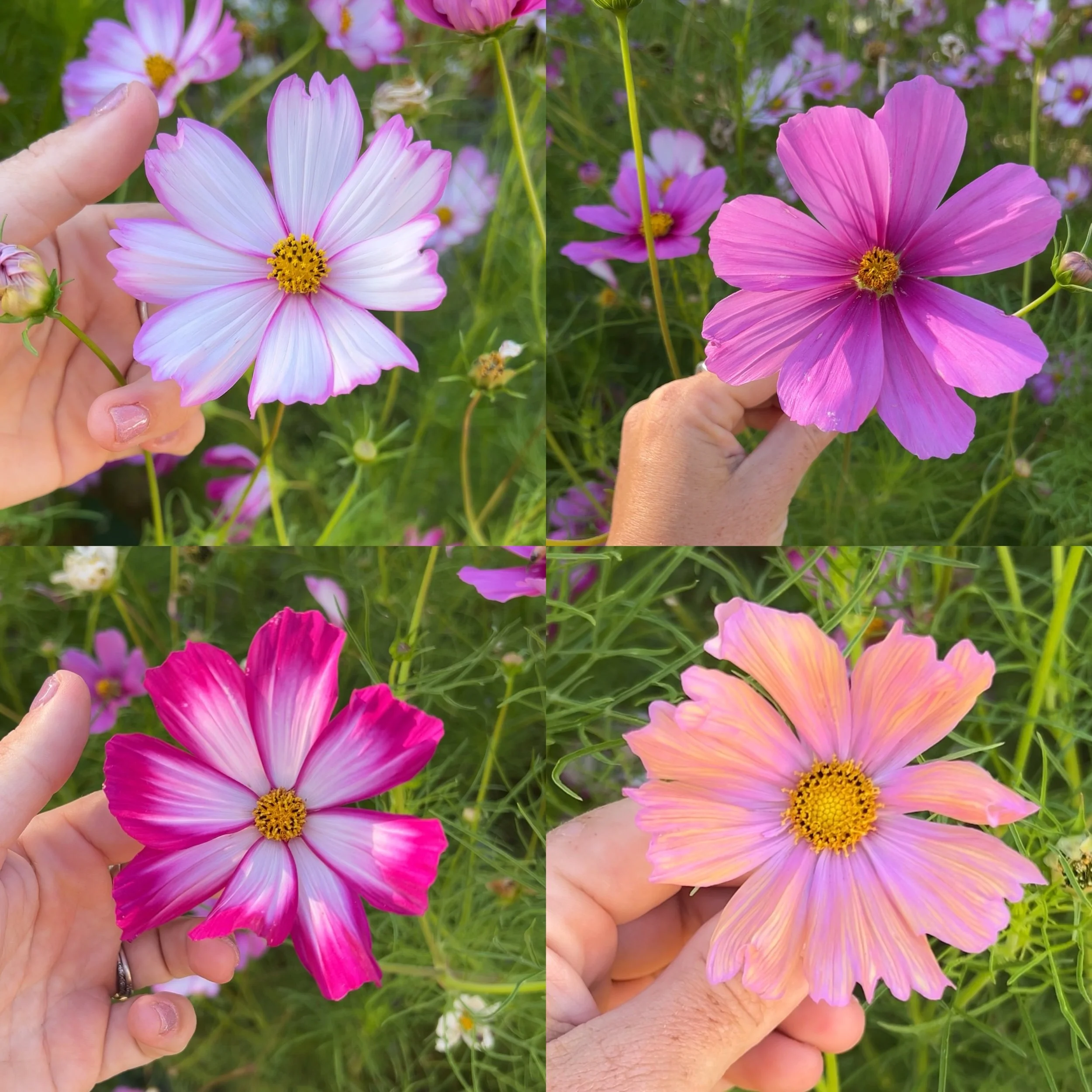 C991FB41-BD47-4D9E-860F-5E68D551376C